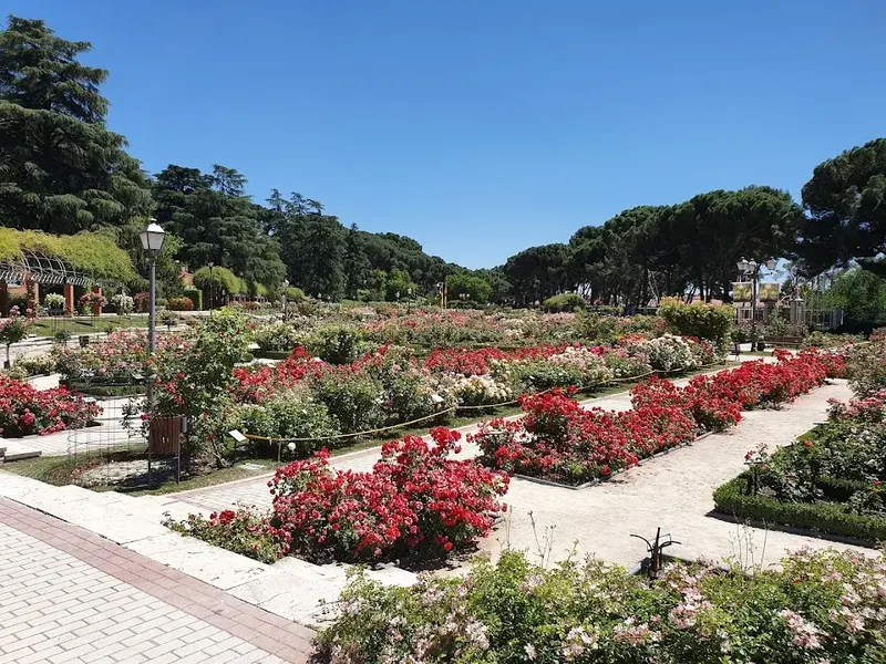 Parque del Oeste in Madrid