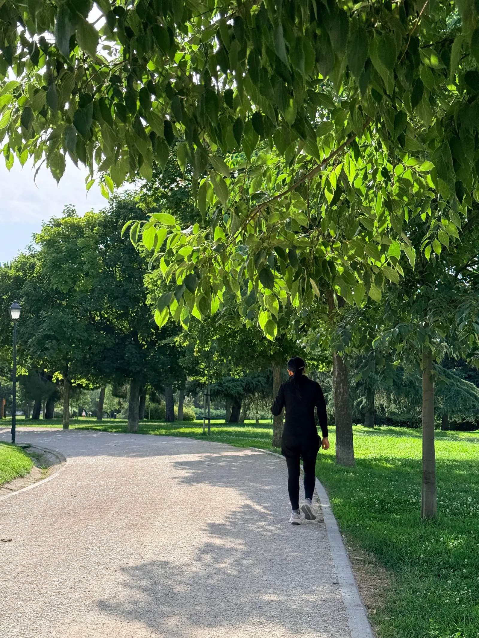Main view at Parque Enrique Tierno Galván Madrid — travel photo