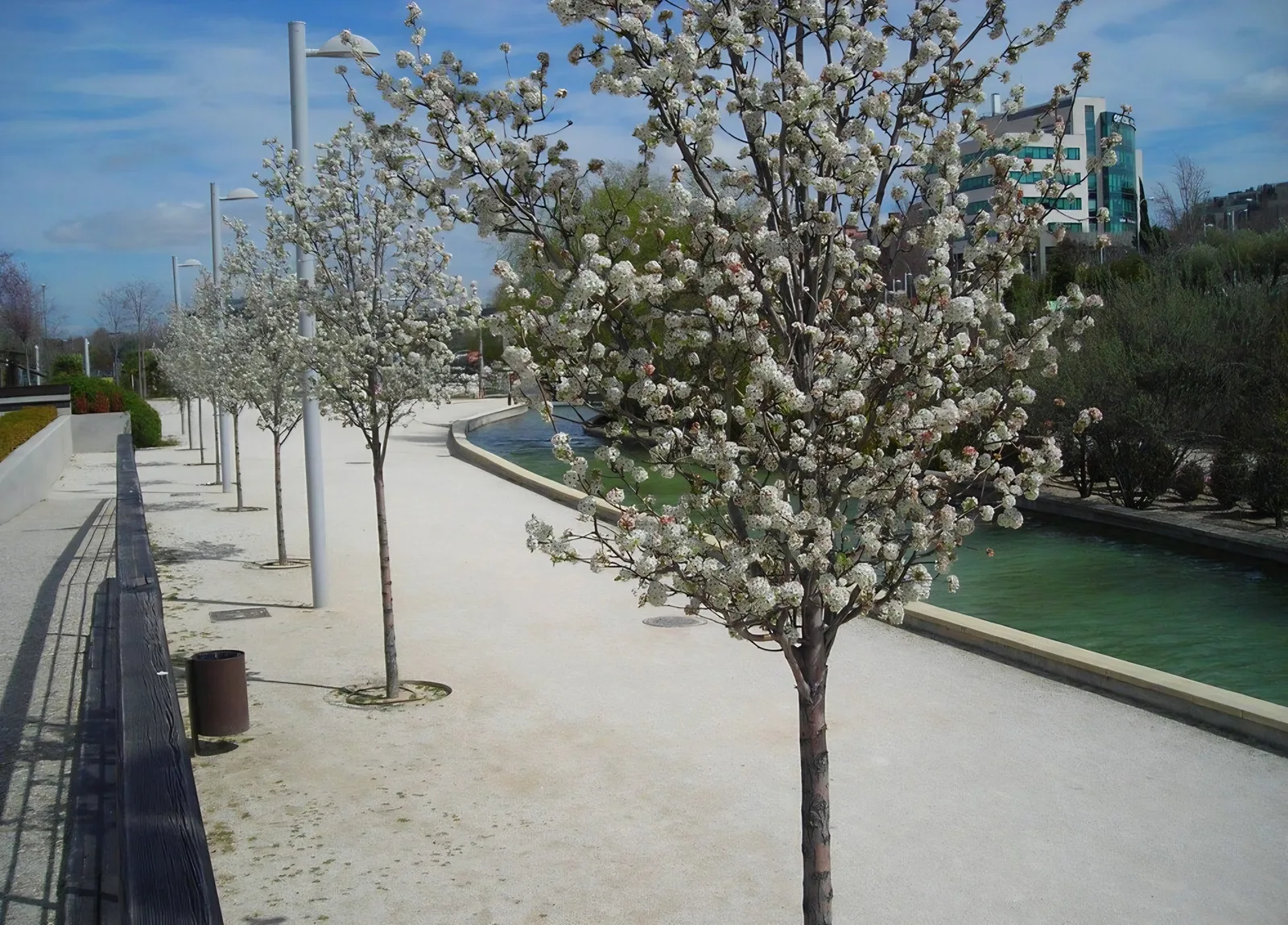 Details at Parque Juan Pablo II Madrid — travel photo