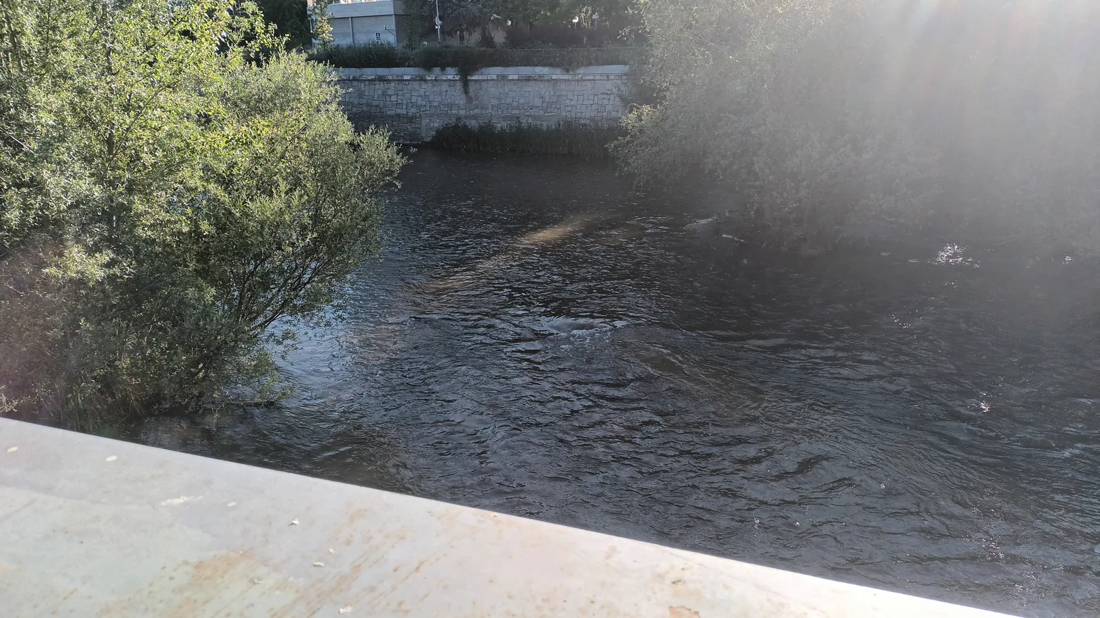 Main view at Parque Madrid Río Madrid — travel photo