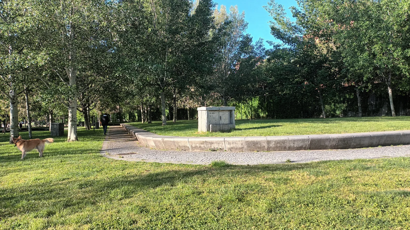 Atmosphere at Parque Madrid Río Madrid — travel photo