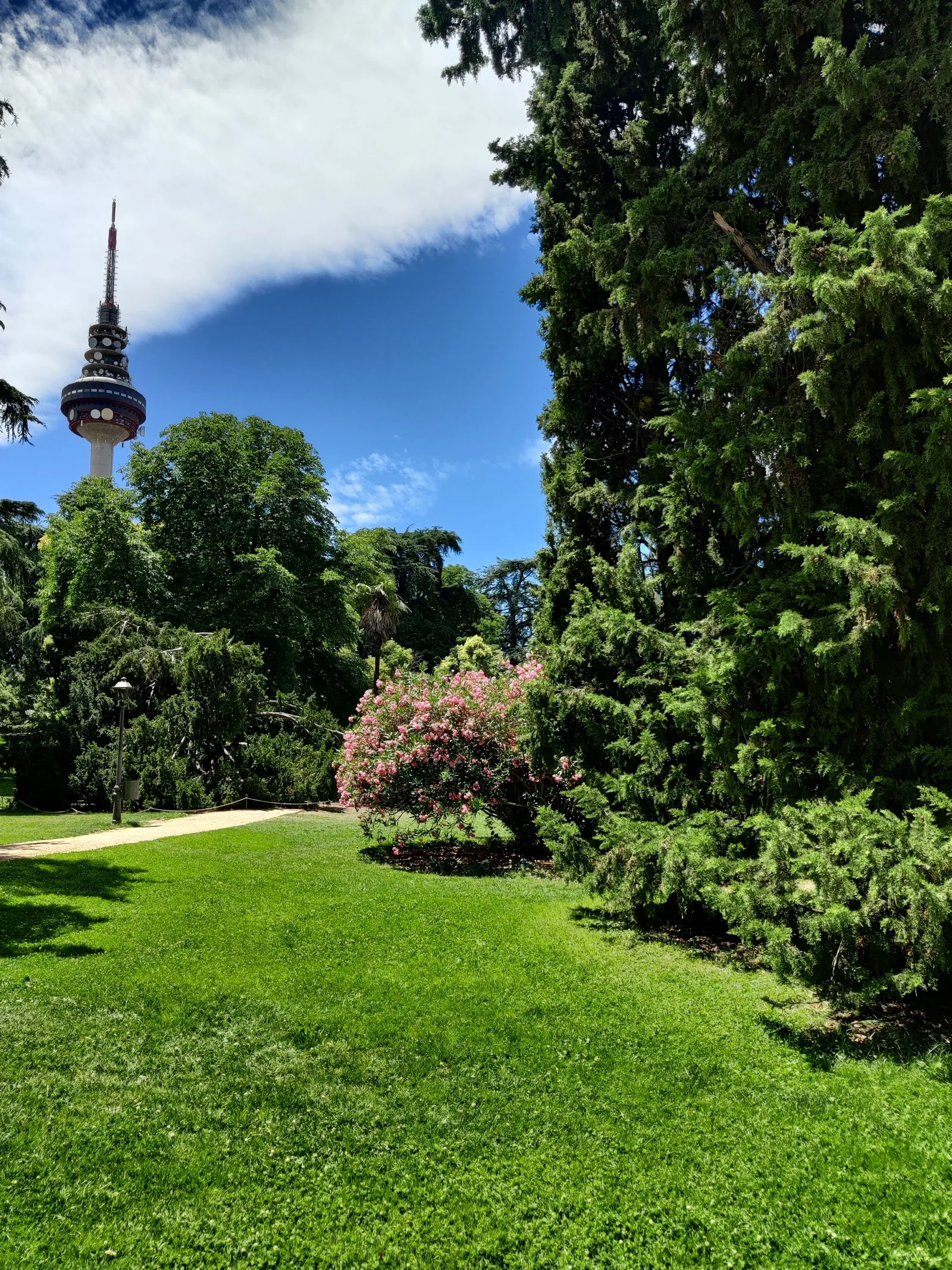 Main view at Quinta de la Fuente del Berro Park Madrid — travel photo