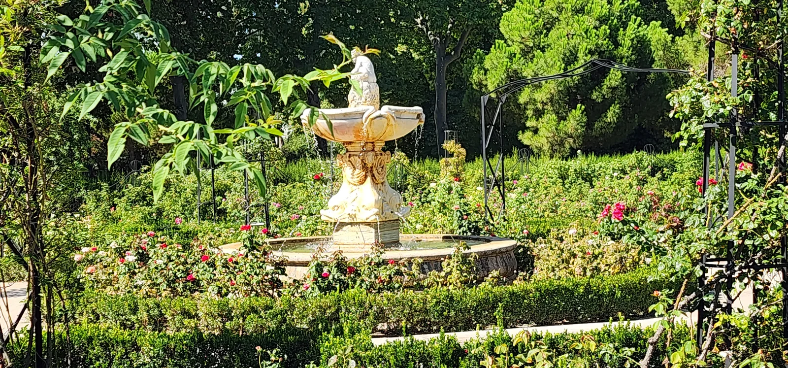 Main view at Rose Garden Madrid — travel photo
