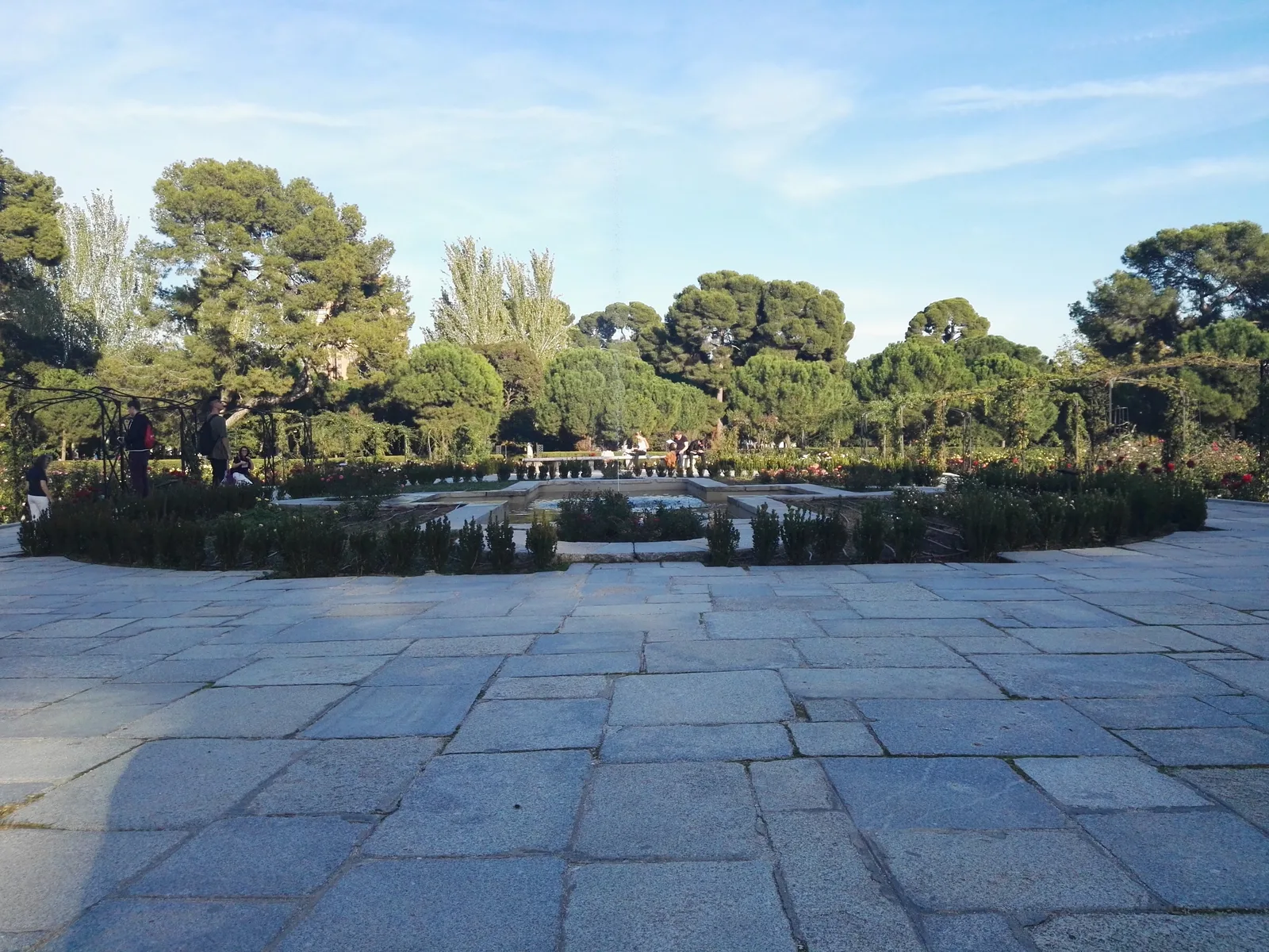 Details at Rose Garden Madrid — travel photo