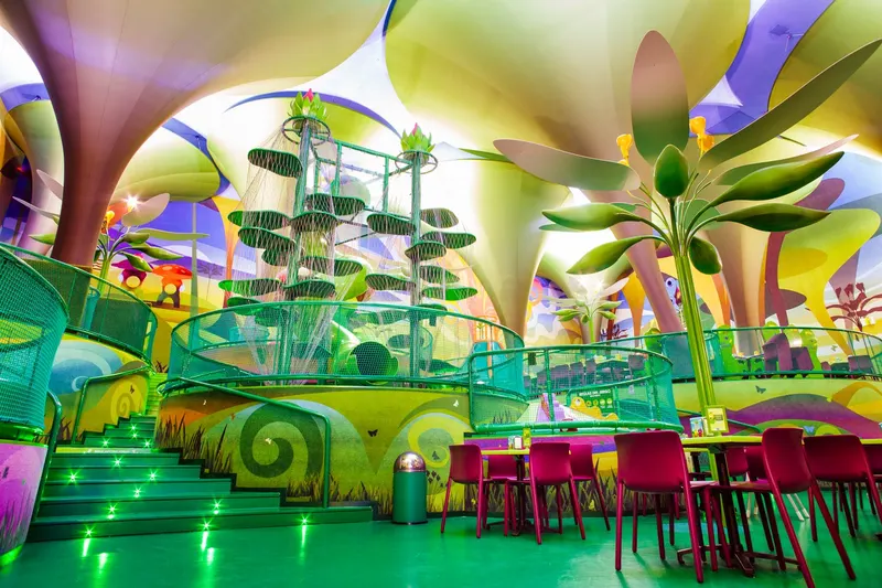 The Magic Forest