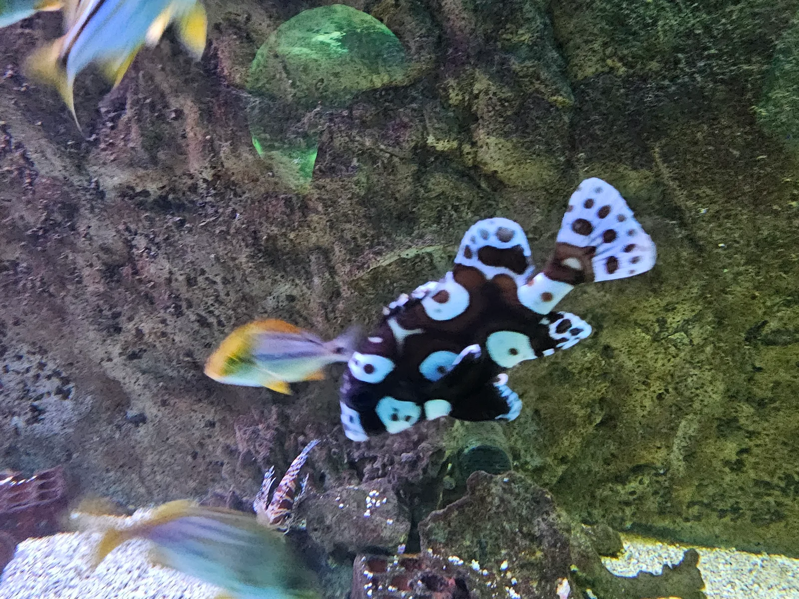 Interior at Zoo Aquarium de Madrid Madrid — travel photo