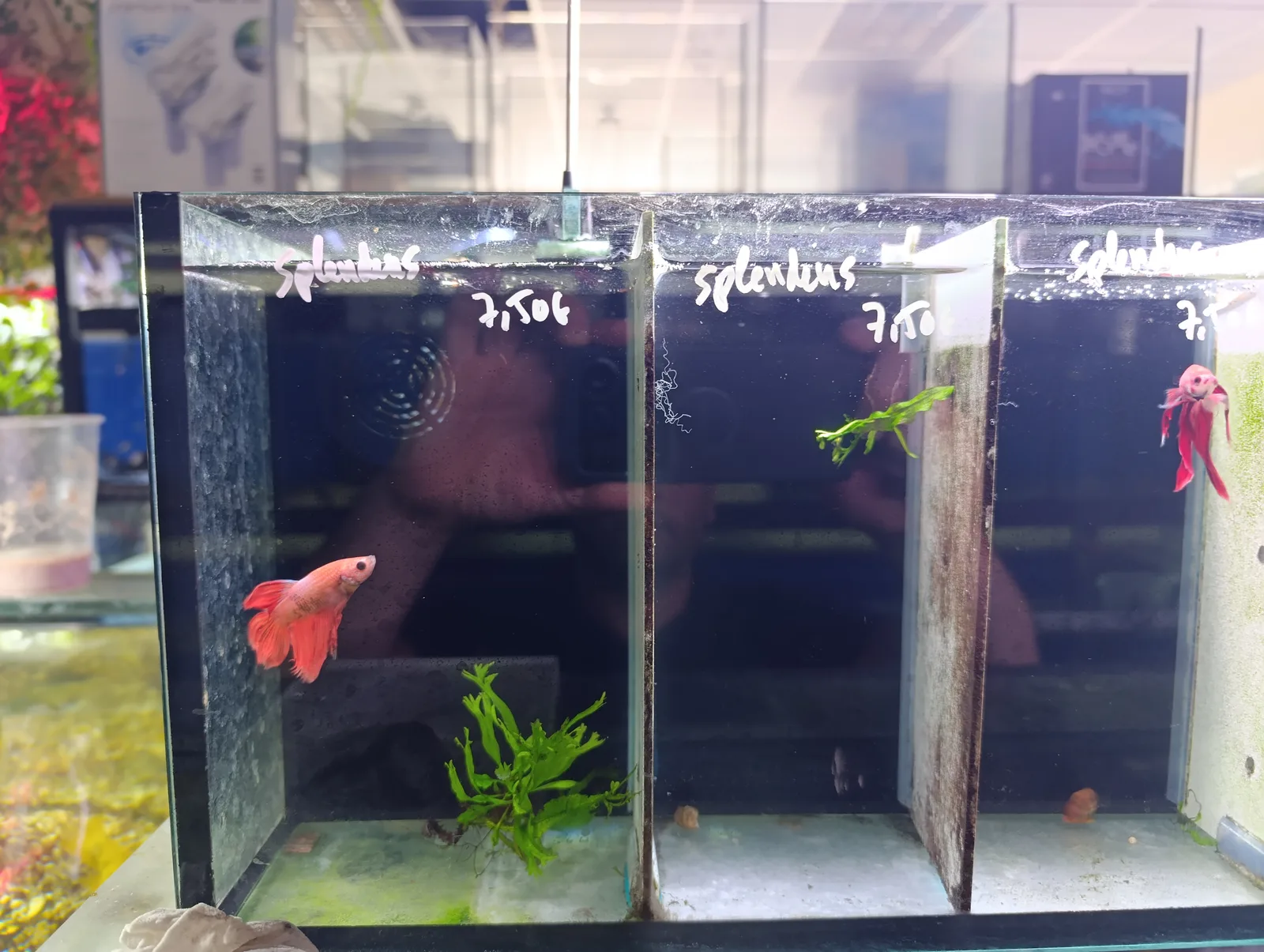 Details at Acuario Málaga Malaga — travel photo