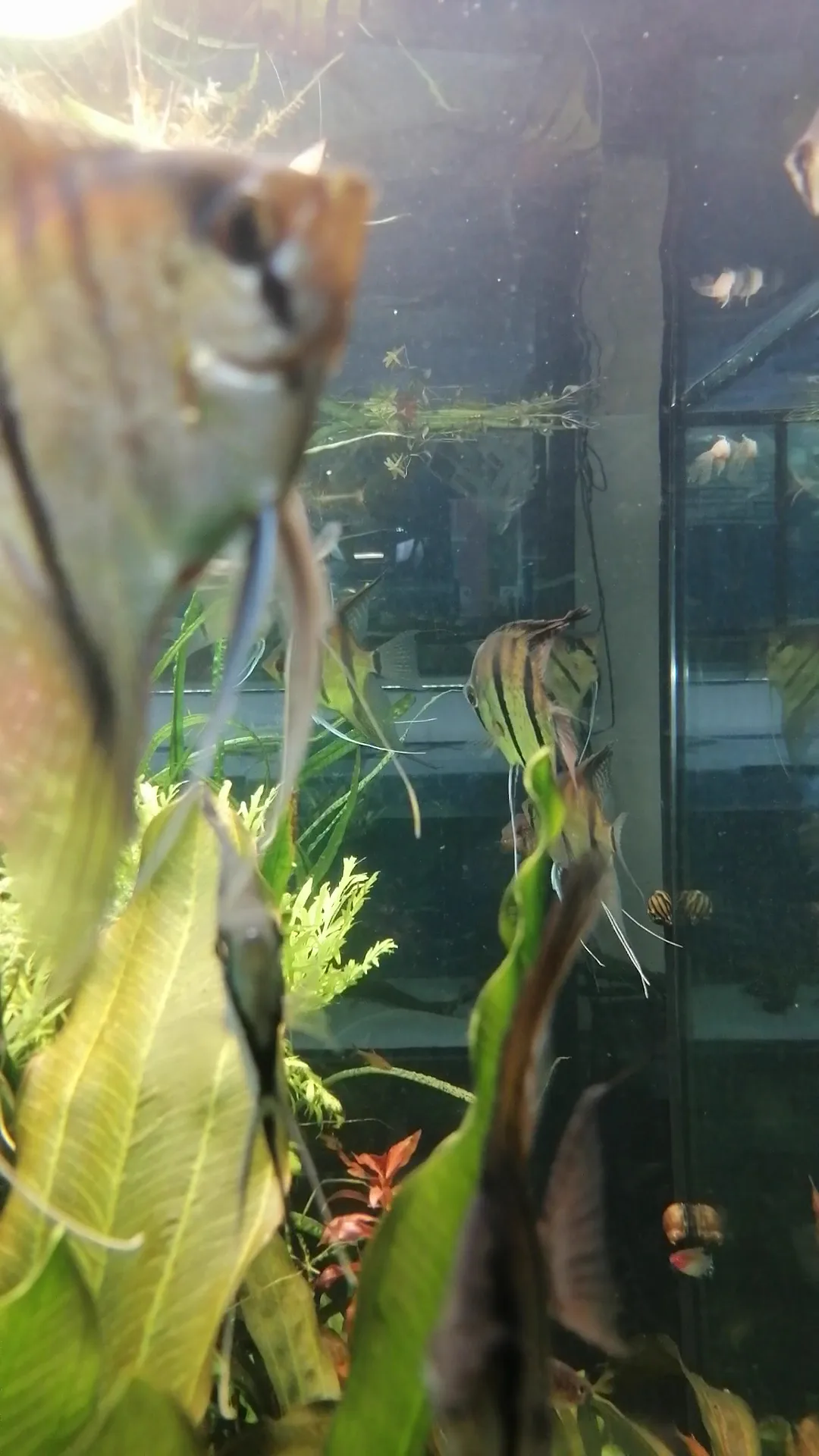 Atmosphere at Acuario Málaga Malaga — travel photo