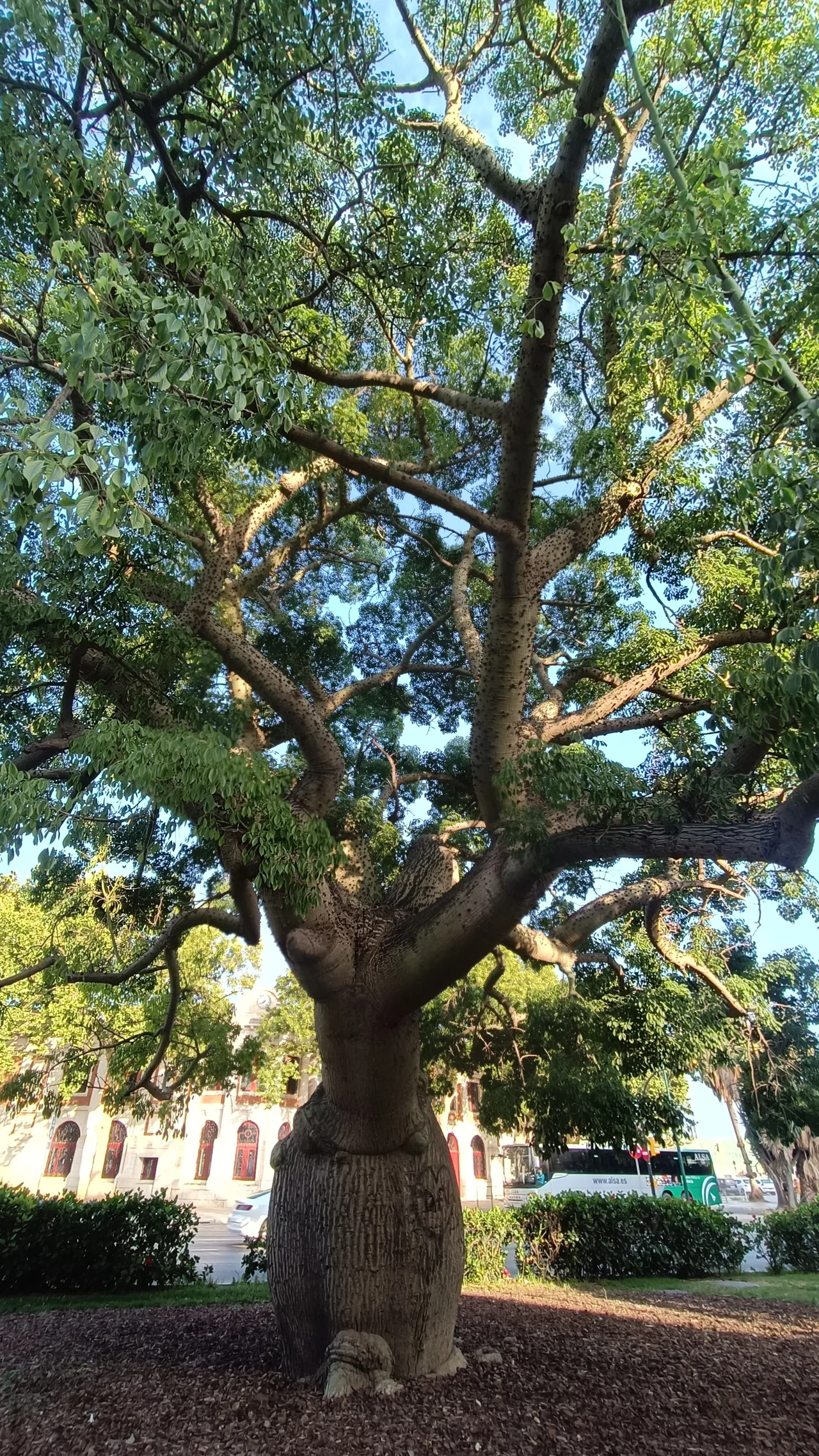 Alfonso Canales Garden