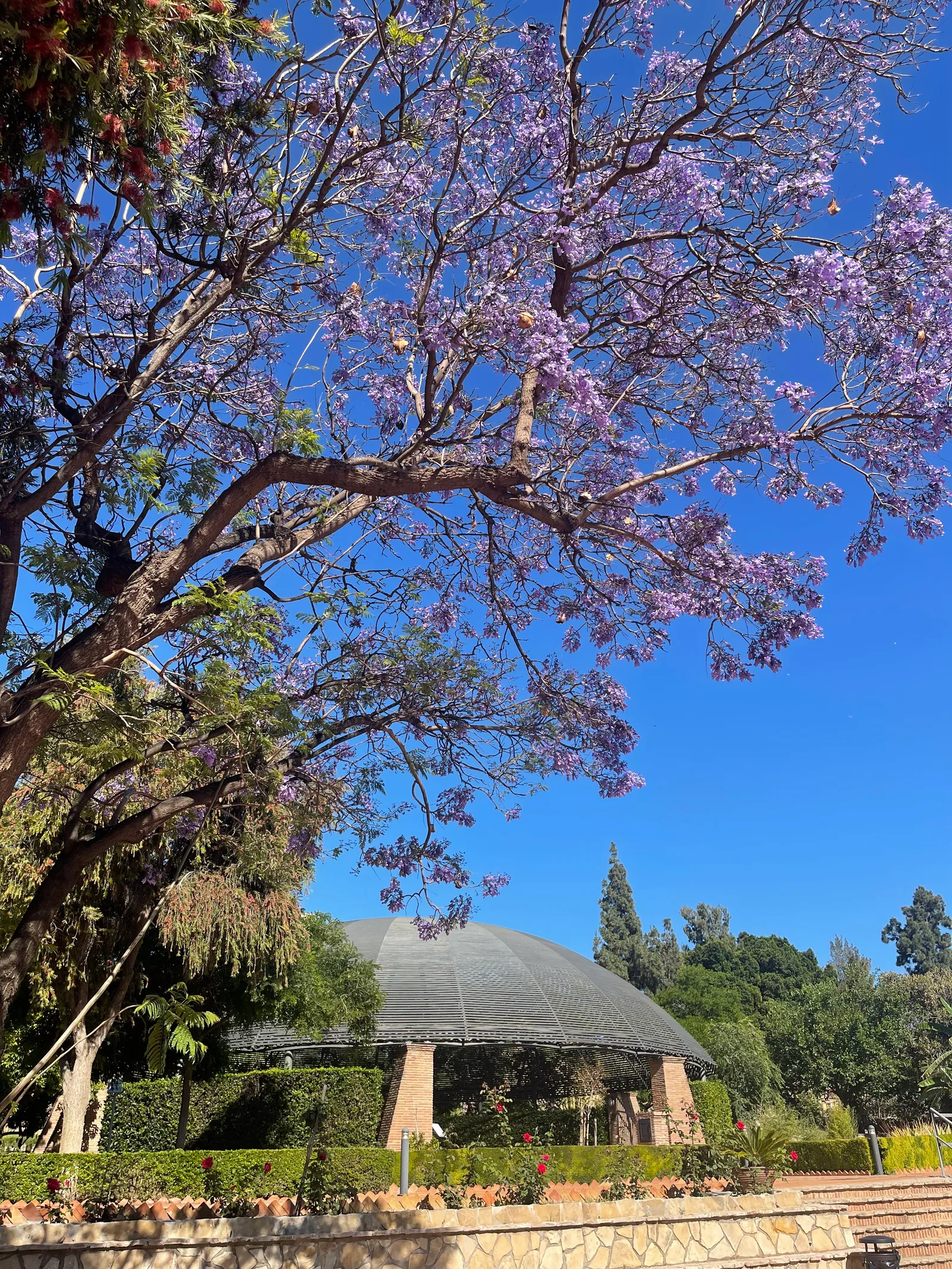 Main view at Botanical Garden Malaga — travel photo
