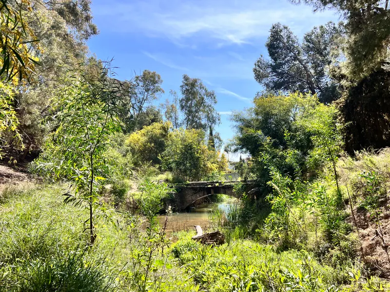 Castañón de Mena Garden