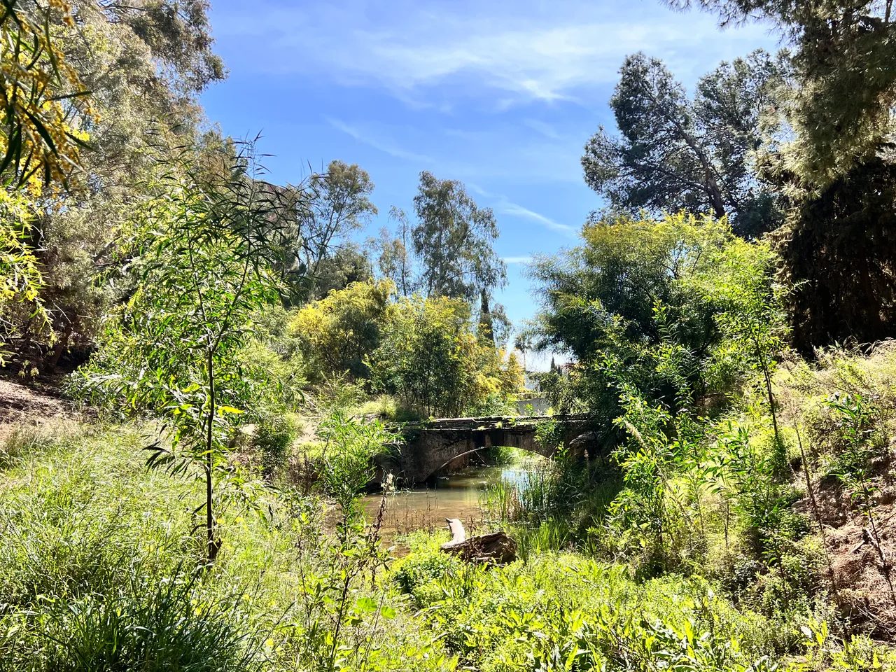 Castañón de Mena Garden