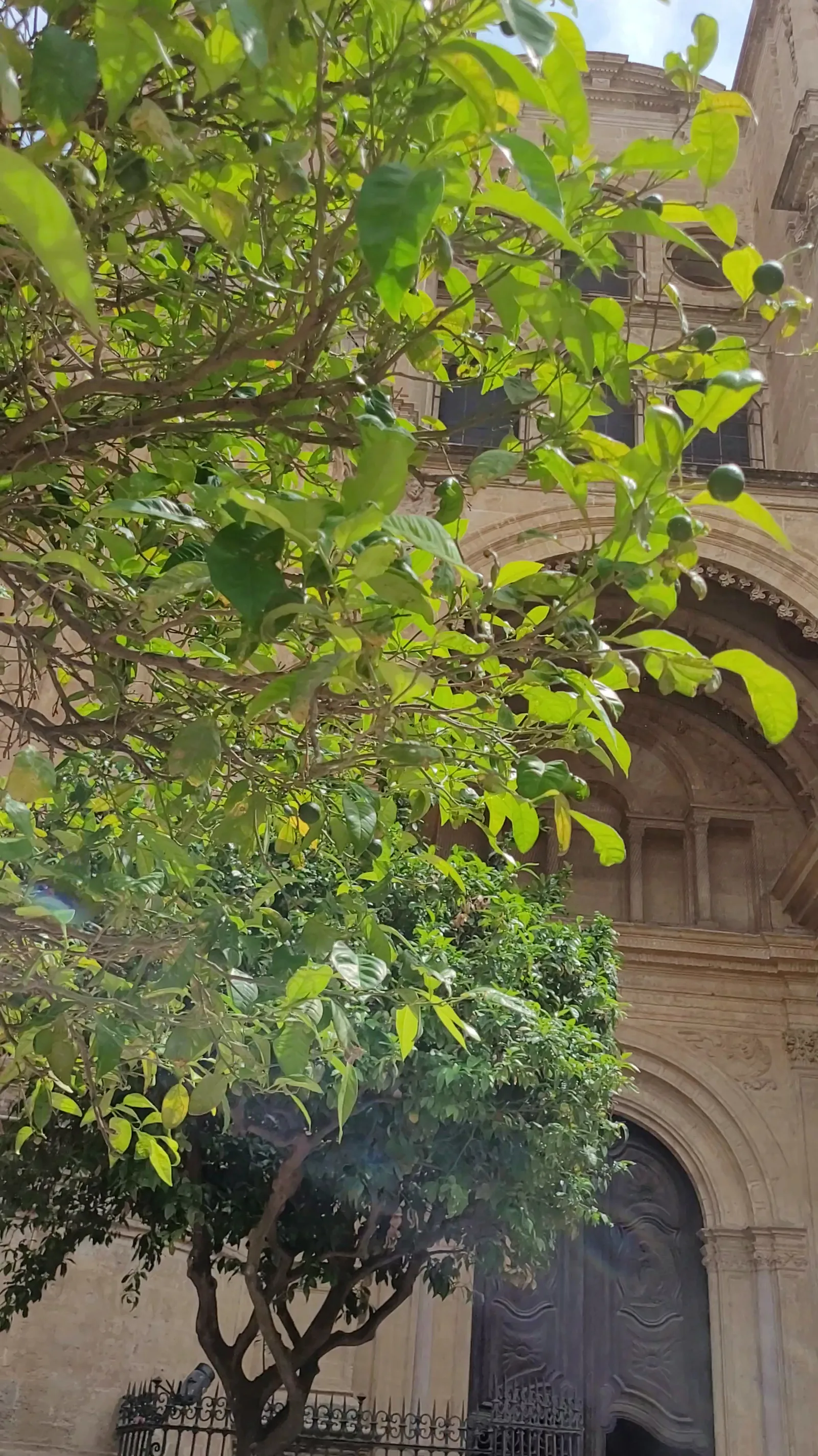 Details at Catedral Garden Malaga — travel photo