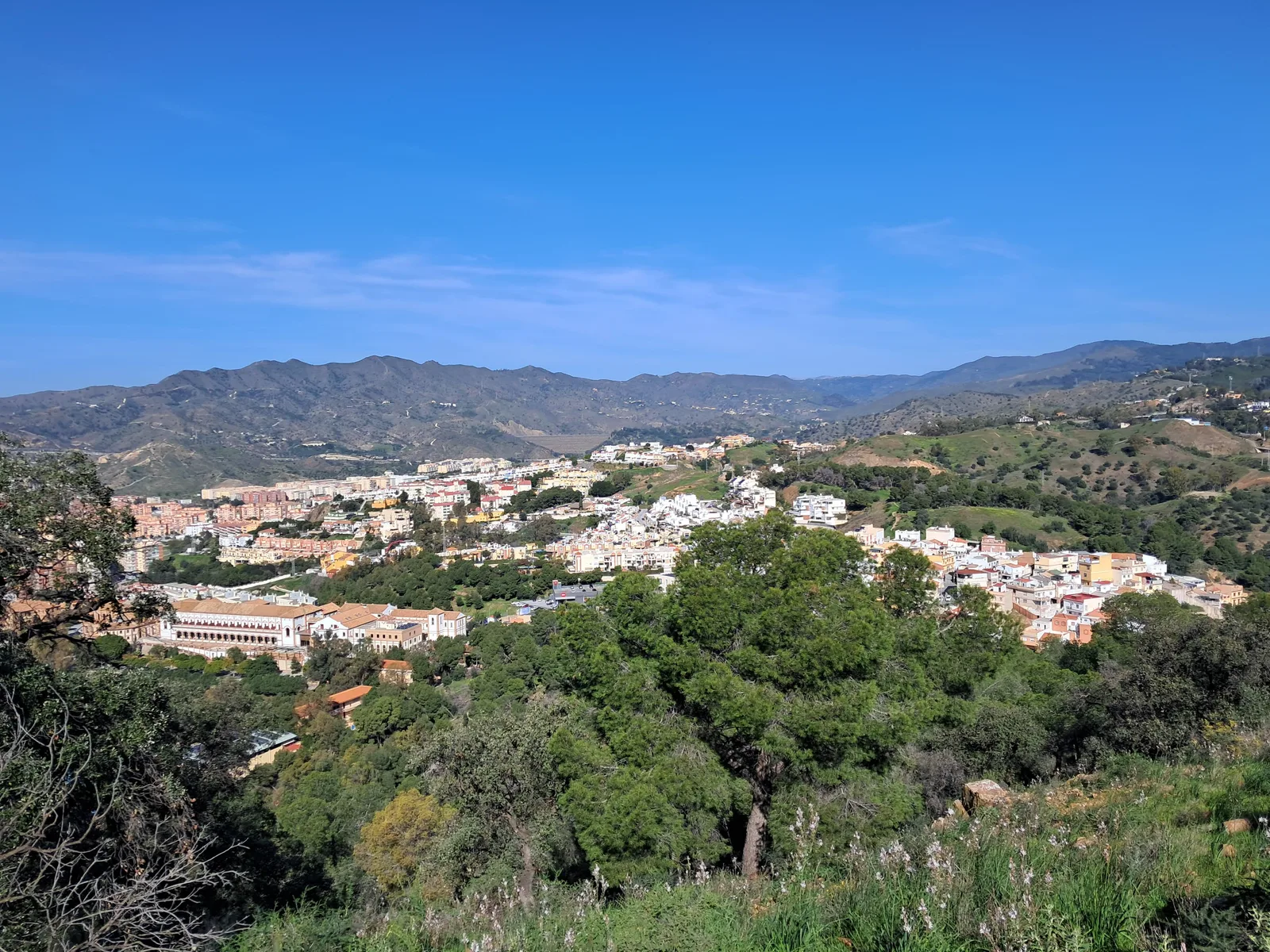 Details at Cerro San Cristóbal Malaga — travel photo