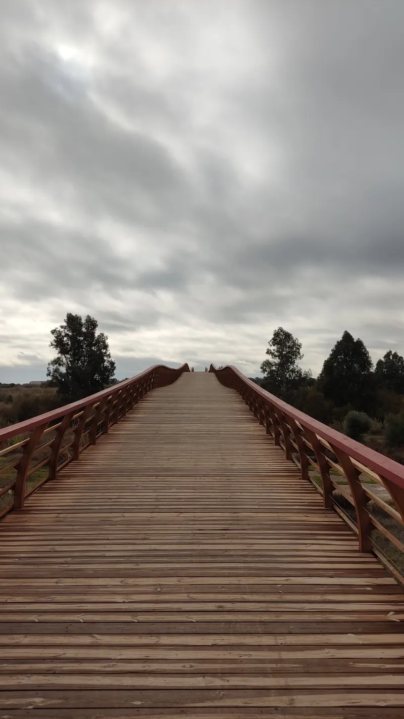 Guadalhorce Concreta Bridge