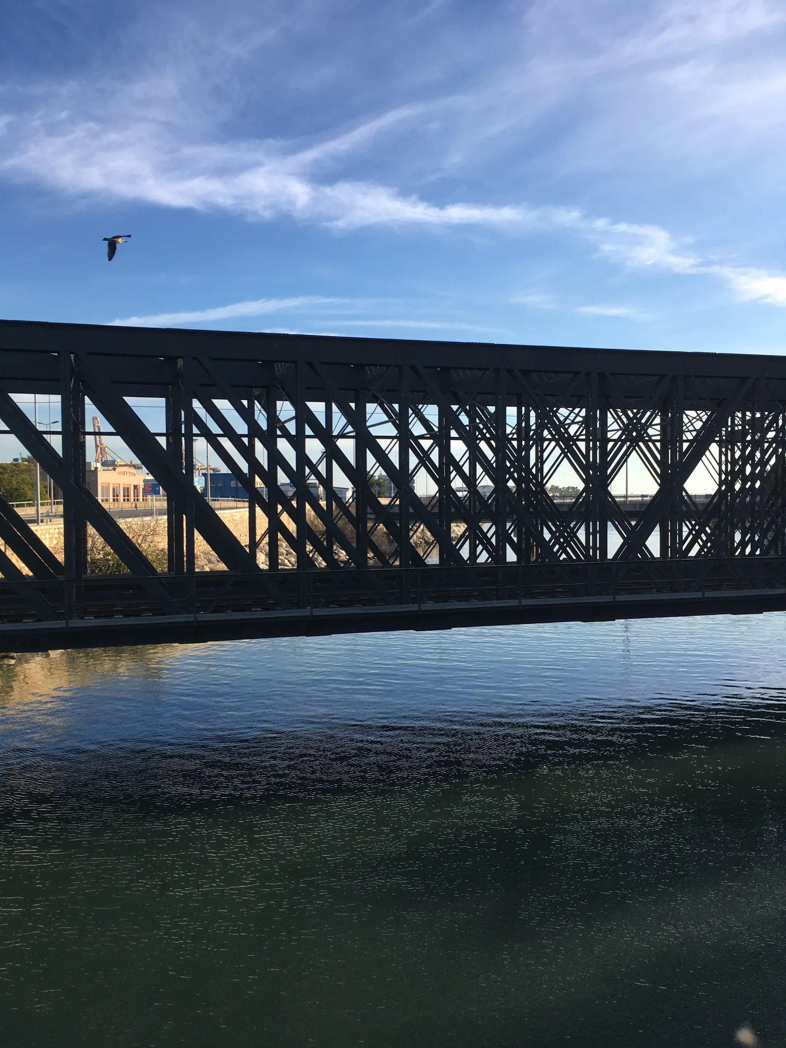 Details at Iron bridge Malaga — travel photo