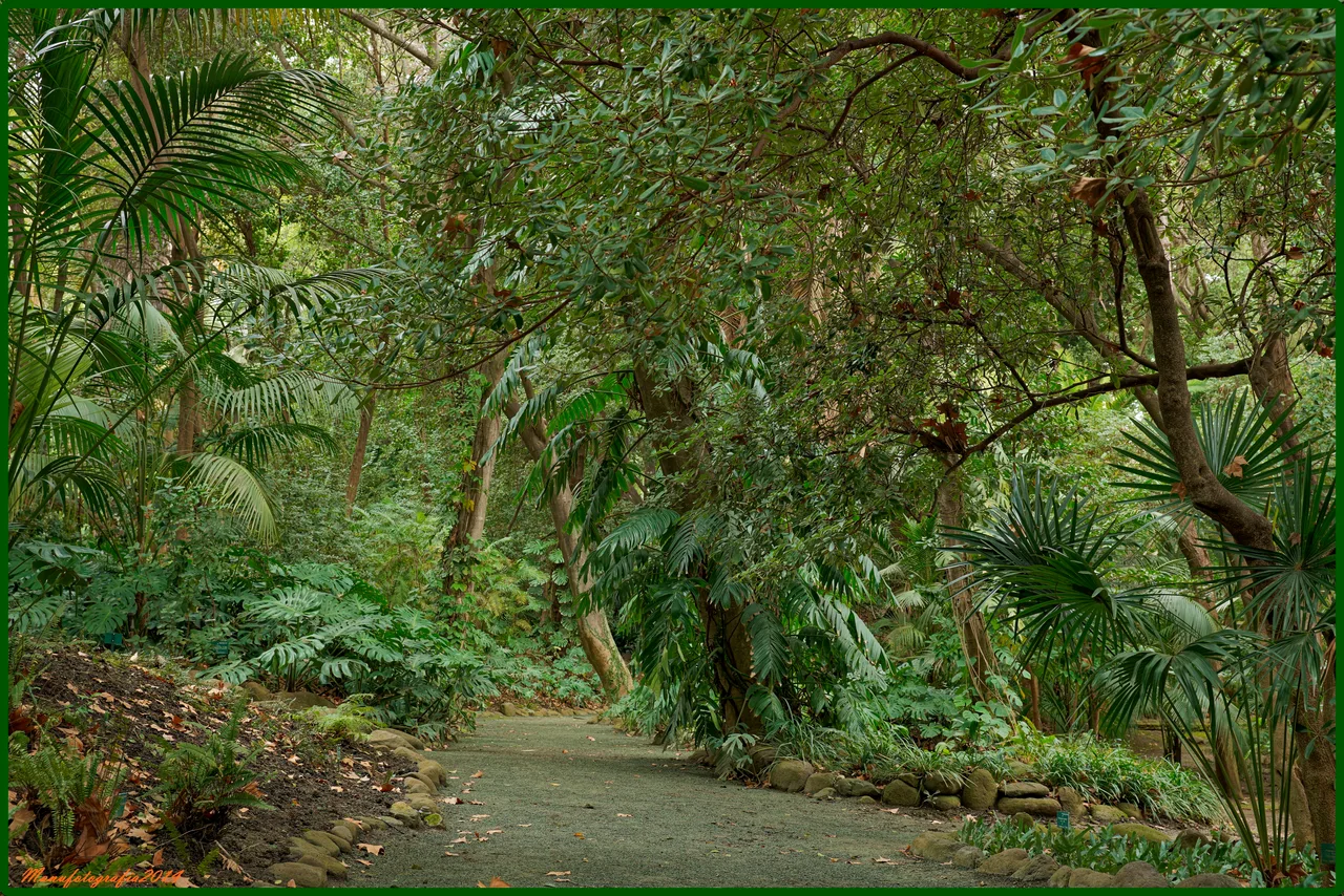 Jardín Botánico - Histórico La Concepción — rainy day guide Malaga