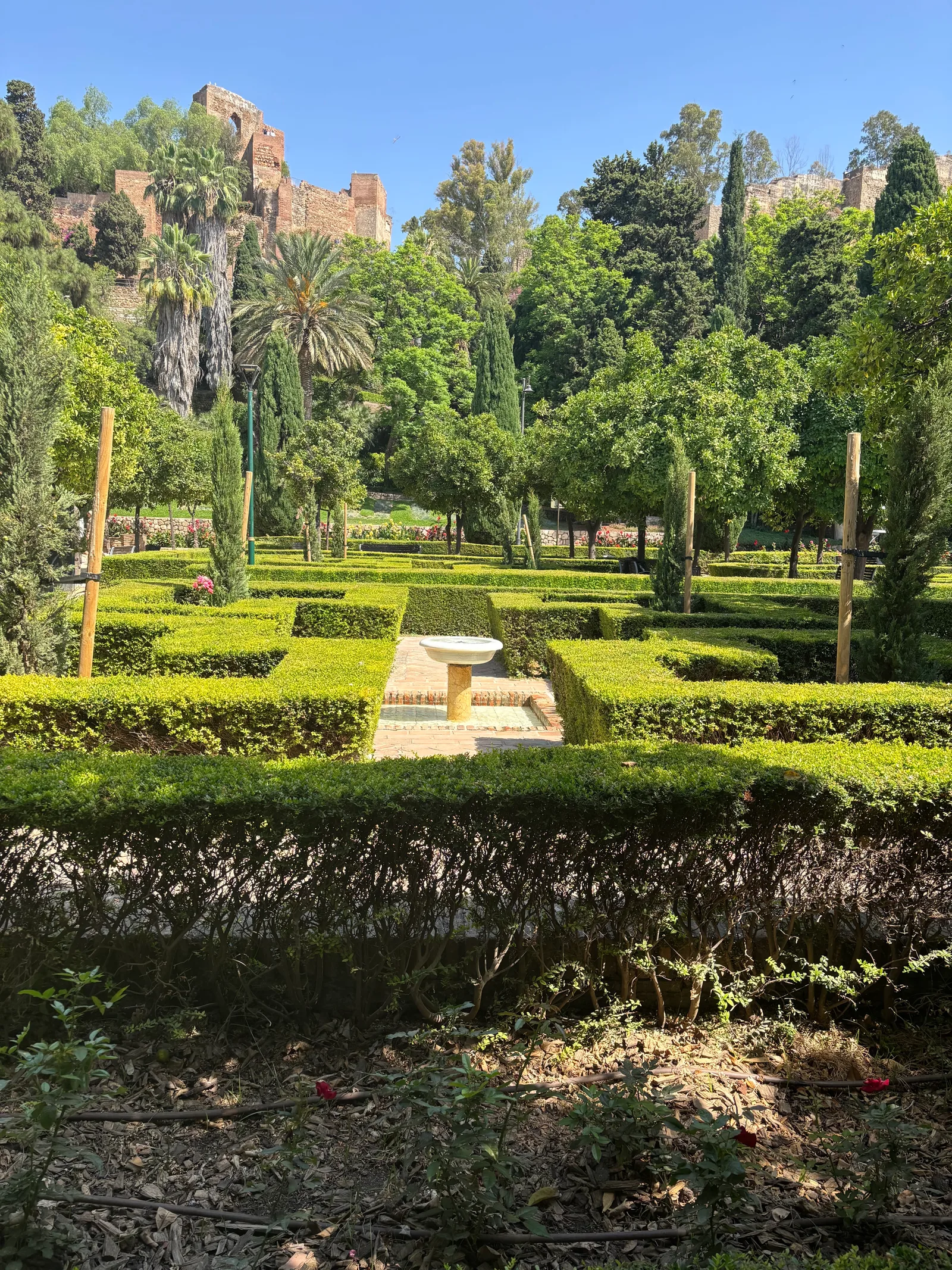 Atmosphere at Jardines de Pedro Luis Alonso Malaga — travel photo