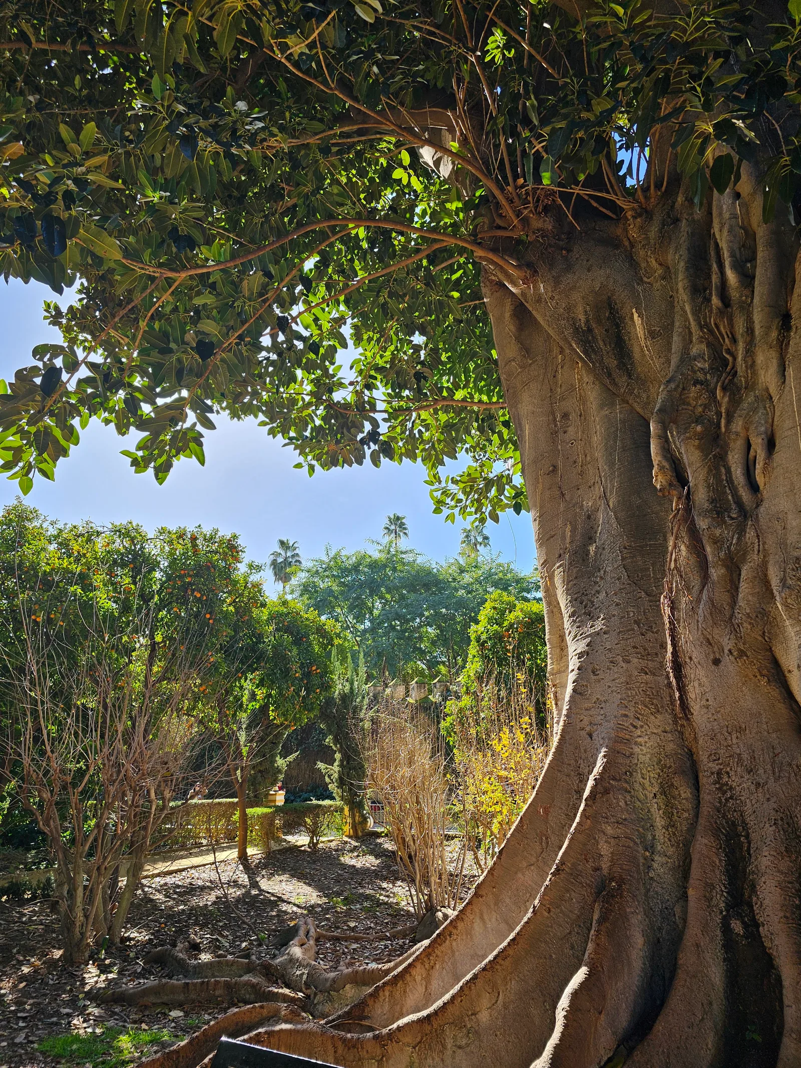 Atmosphere at Jardines Picasso Malaga — travel photo