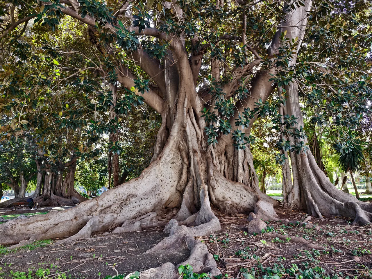 Jardines Picasso — budget guide Malaga