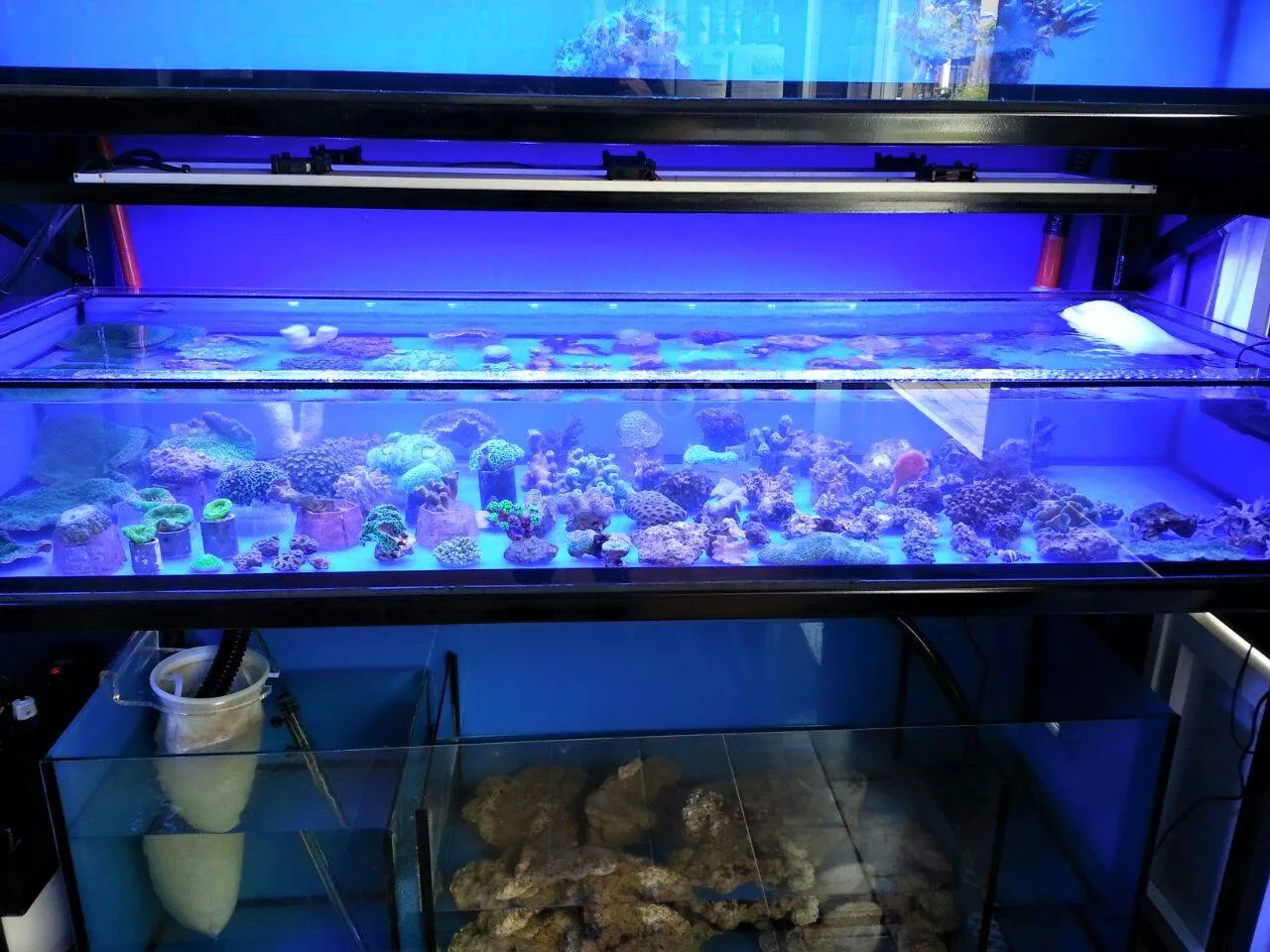 Interior at malaga coral reef Malaga — travel photo