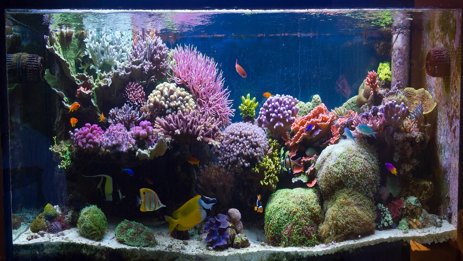 Atmosphere at malaga coral reef Malaga — travel photo