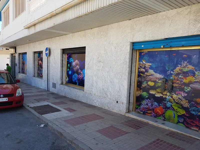 malaga coral reef