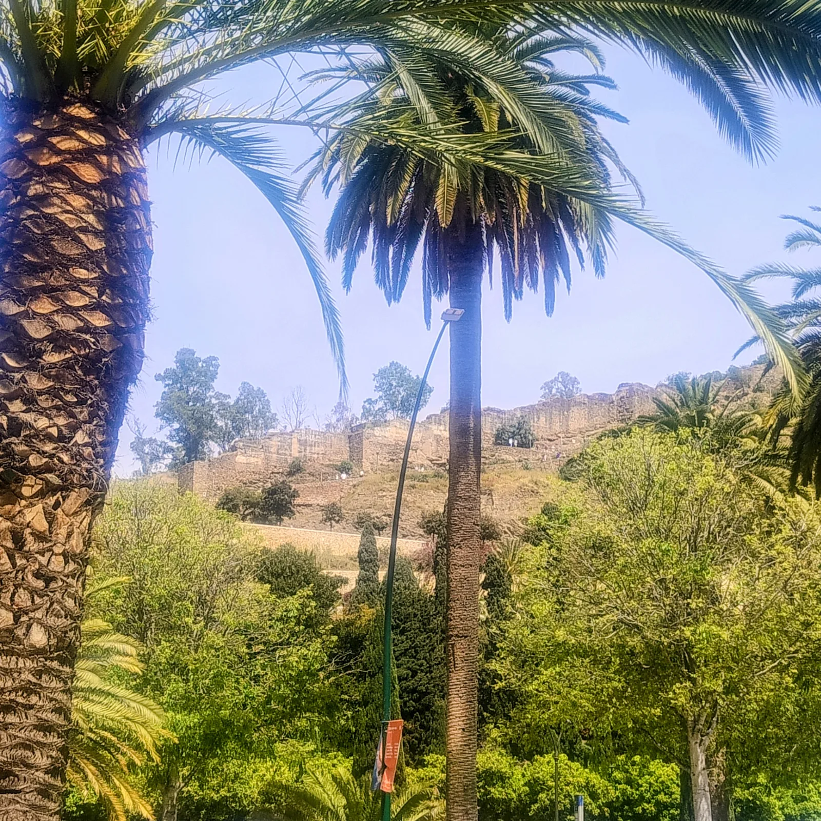 Details at Málaga Park Malaga — travel photo