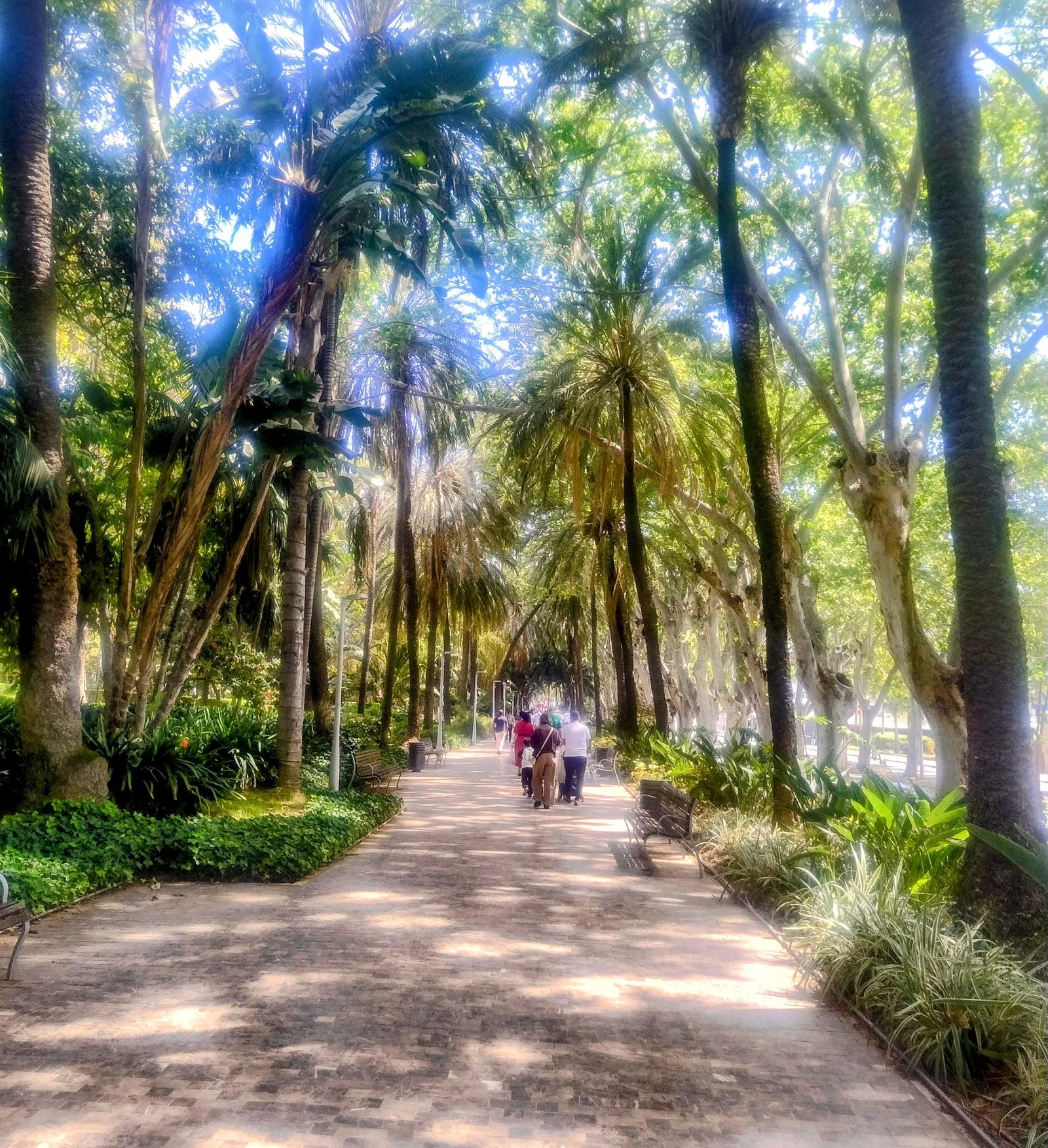 Atmosphere at Málaga Park Malaga — travel photo