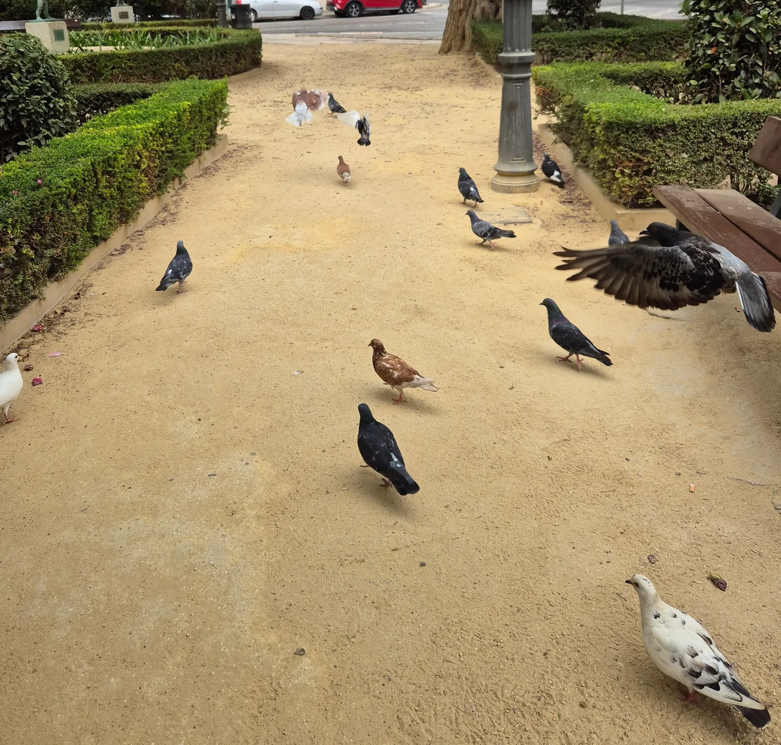 Atmosphere at Monos Garden Malaga — travel photo