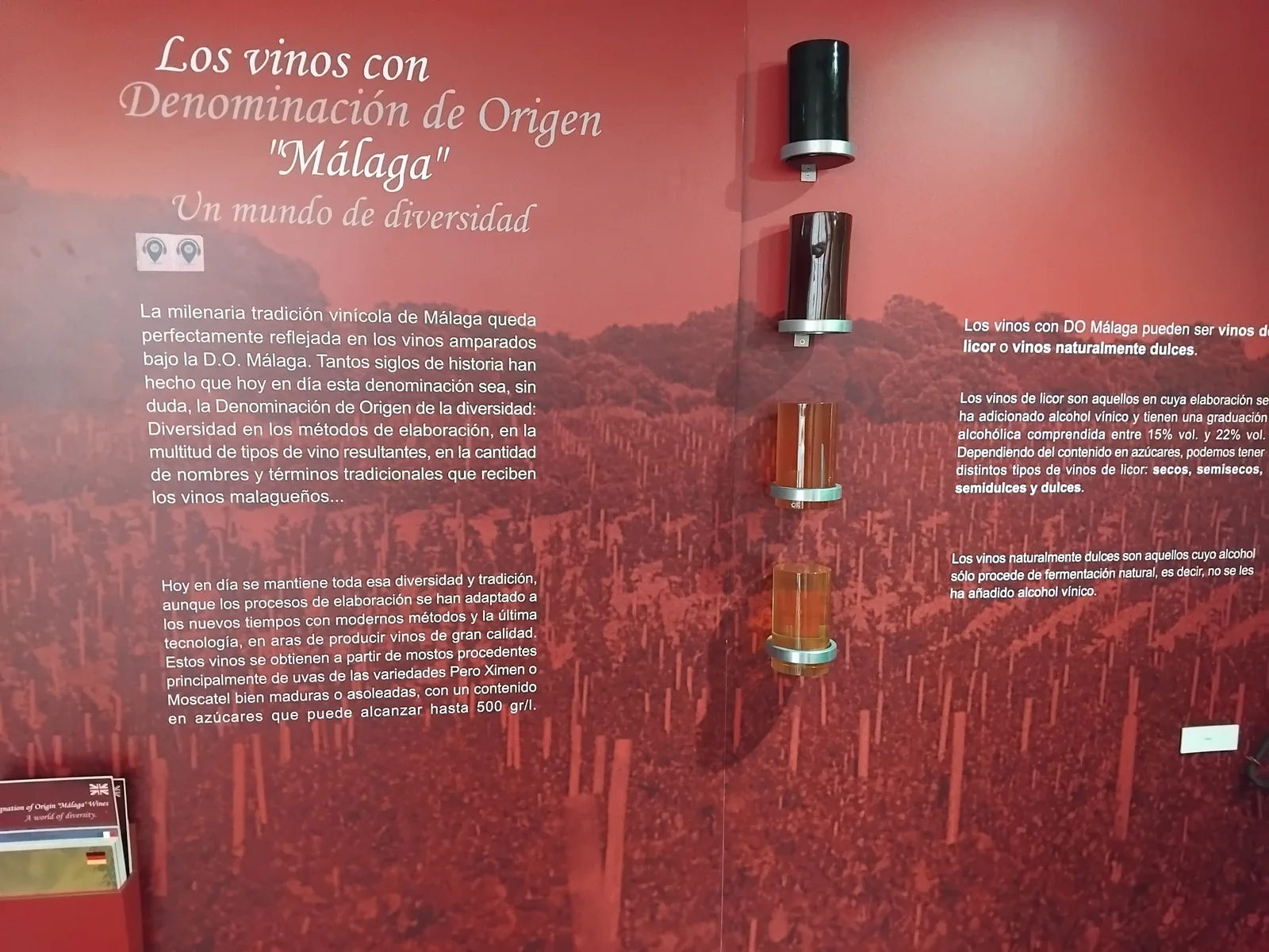Main view at Museo del Vino-Málaga Malaga — travel photo