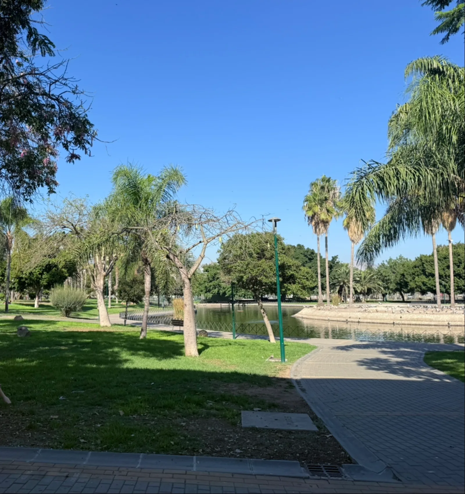 Details at Parque de Huelin Malaga — travel photo