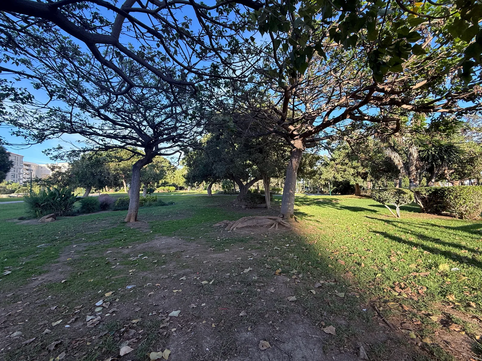 Atmosphere at Parque de Huelin Malaga — travel photo