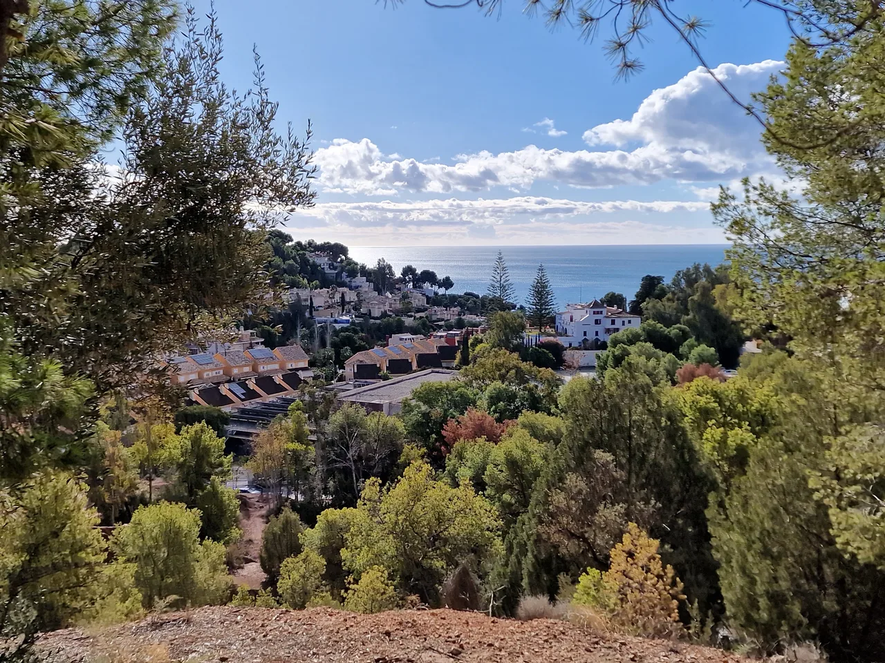 Parque Forestal Hacienda Clavero — romantic guide Malaga