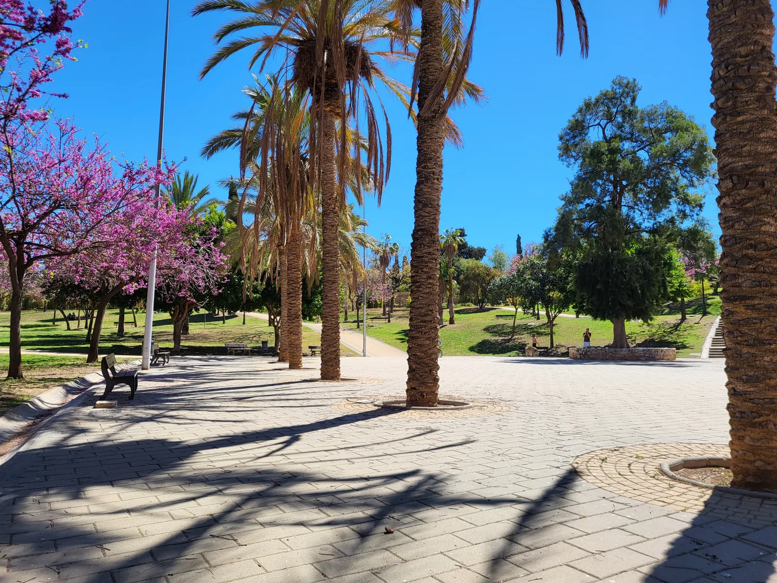 Atmosphere at Parque San Miguel Malaga — travel photo