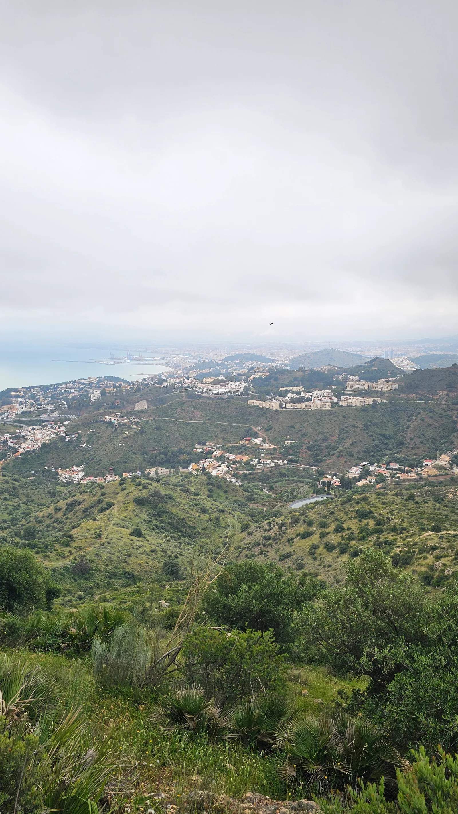 Atmosphere at Pinares Antiguo Malaga — travel photo