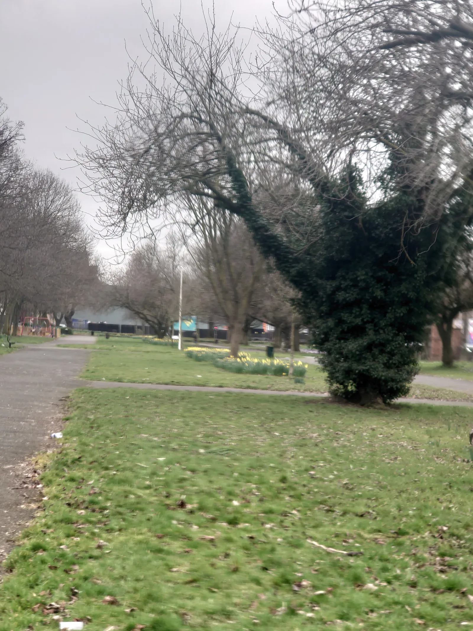 Interior at Ardwick Green Park Manchester — travel photo