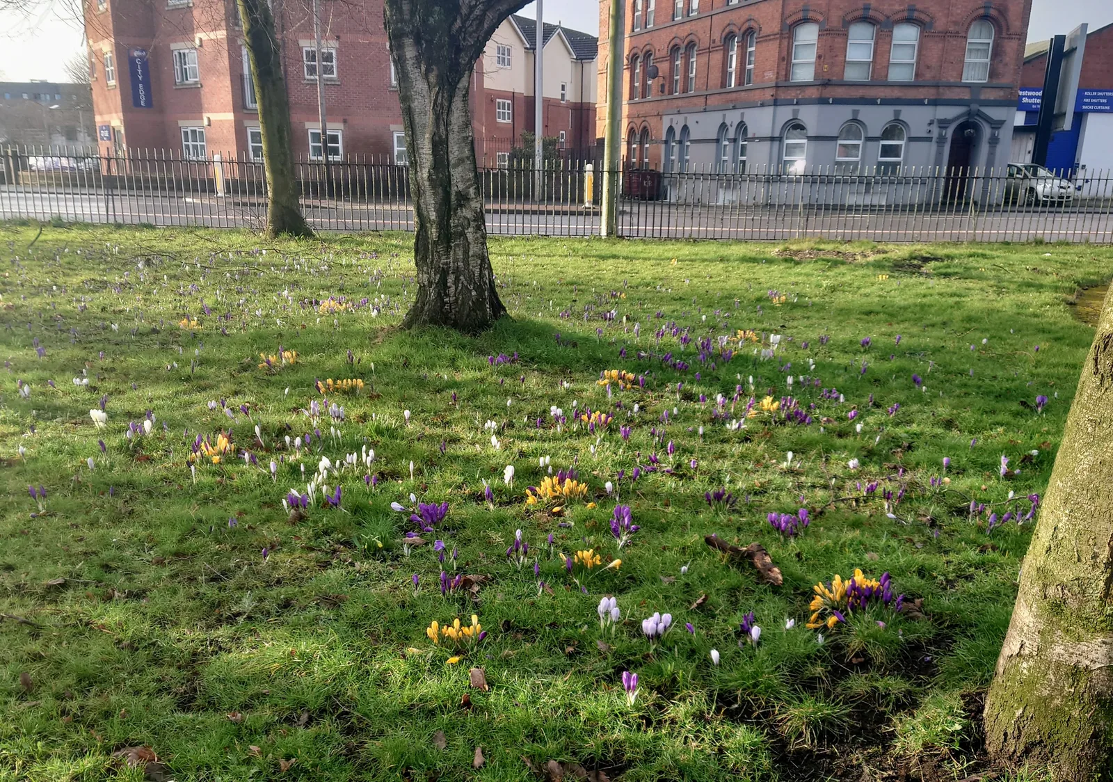Details at Ardwick Green Park Manchester — travel photo
