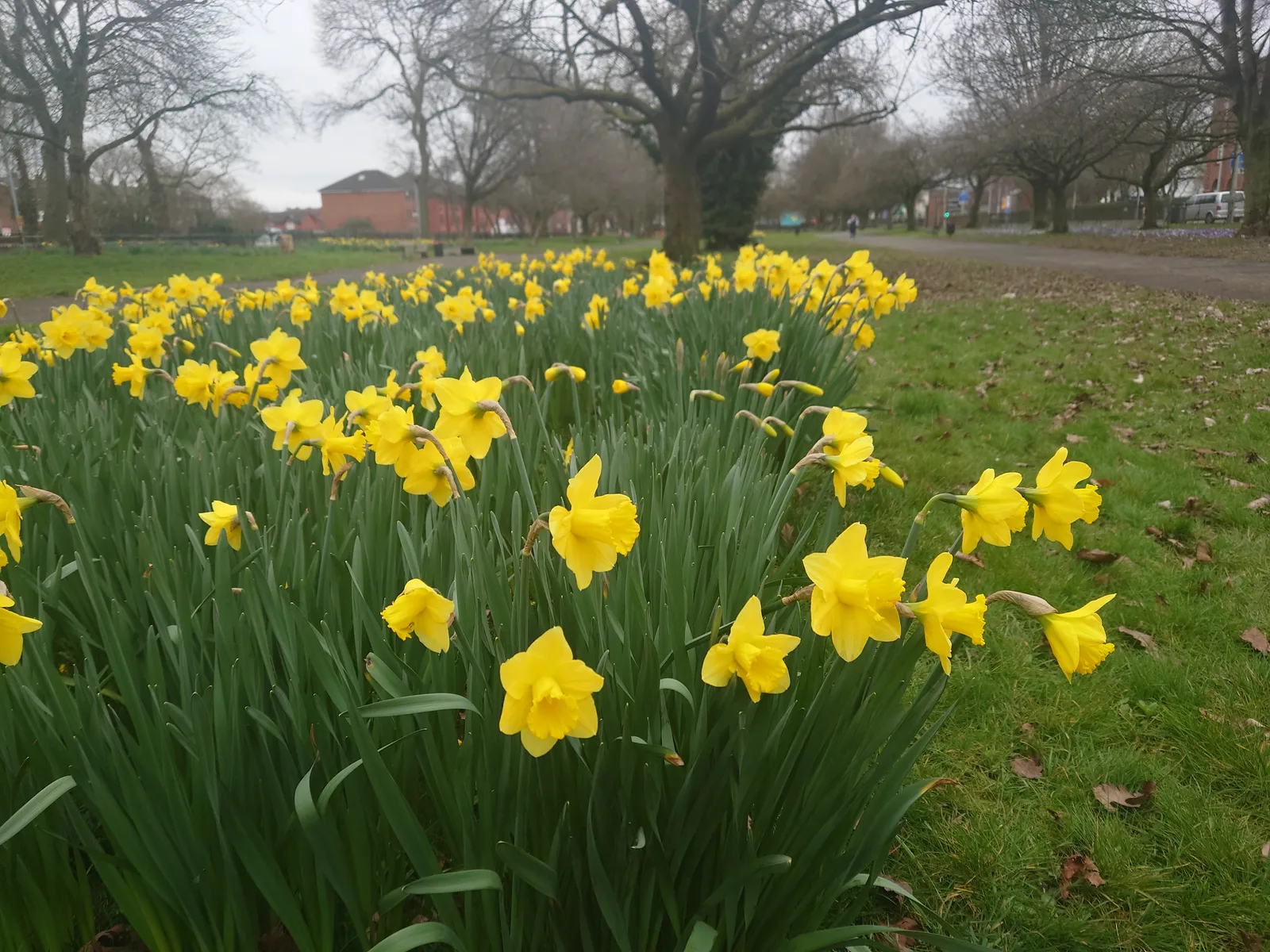 Atmosphere at Ardwick Green Park Manchester — travel photo