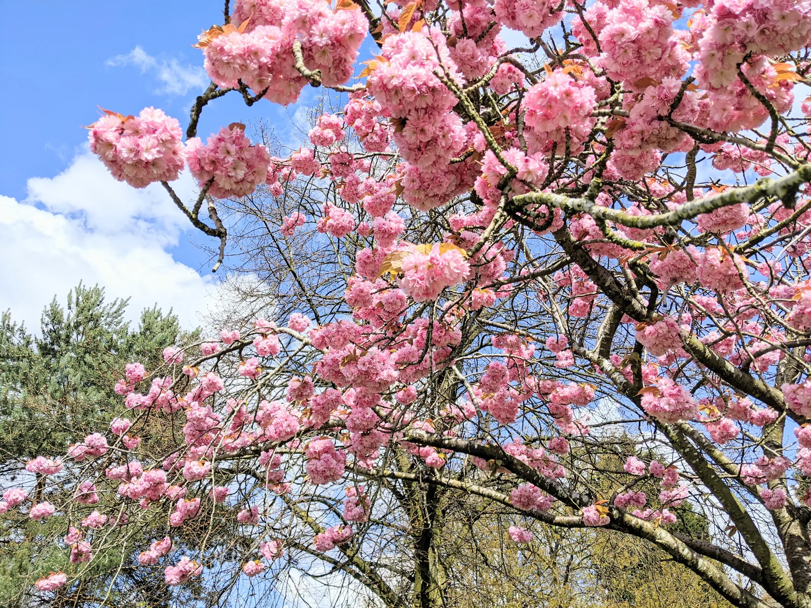 Details at Birchfields Park Manchester — travel photo