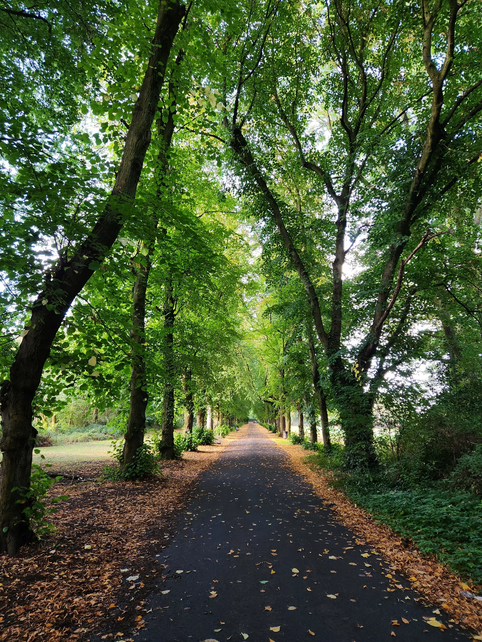 Birchfields Park β budget guide Manchester