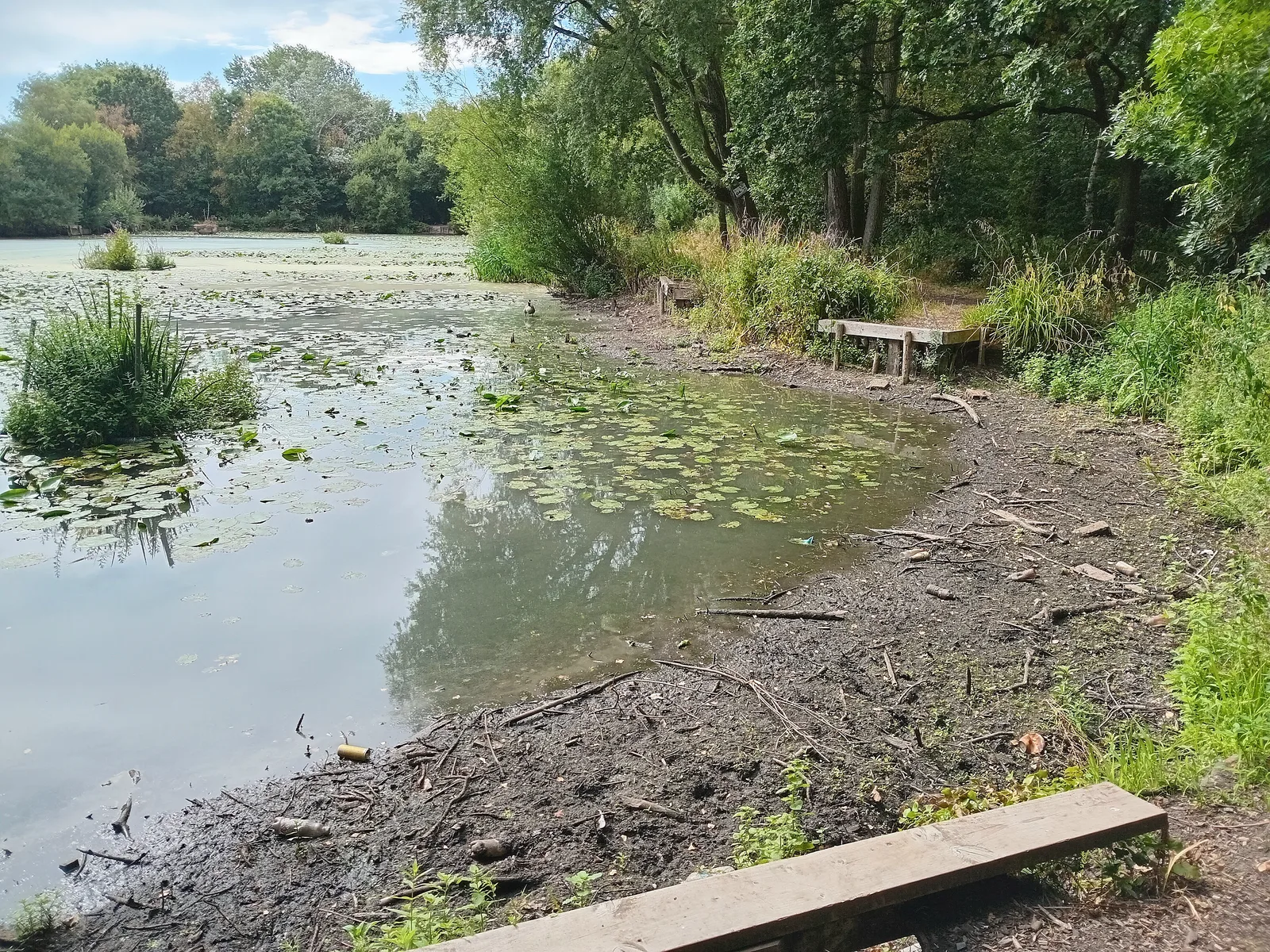 Main view at Boggart Hole Clough Manchester — travel photo