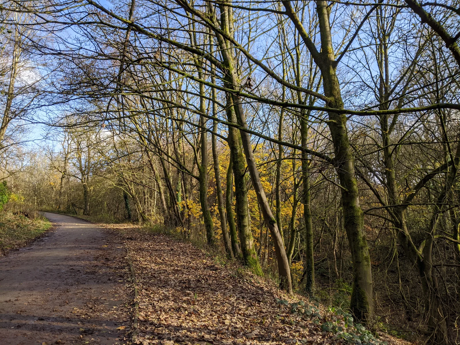 Boggart Hole Clough