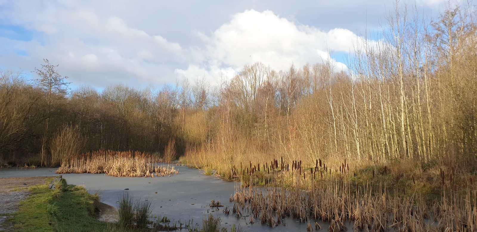 Main view at Broadhurst Park Manchester — travel photo