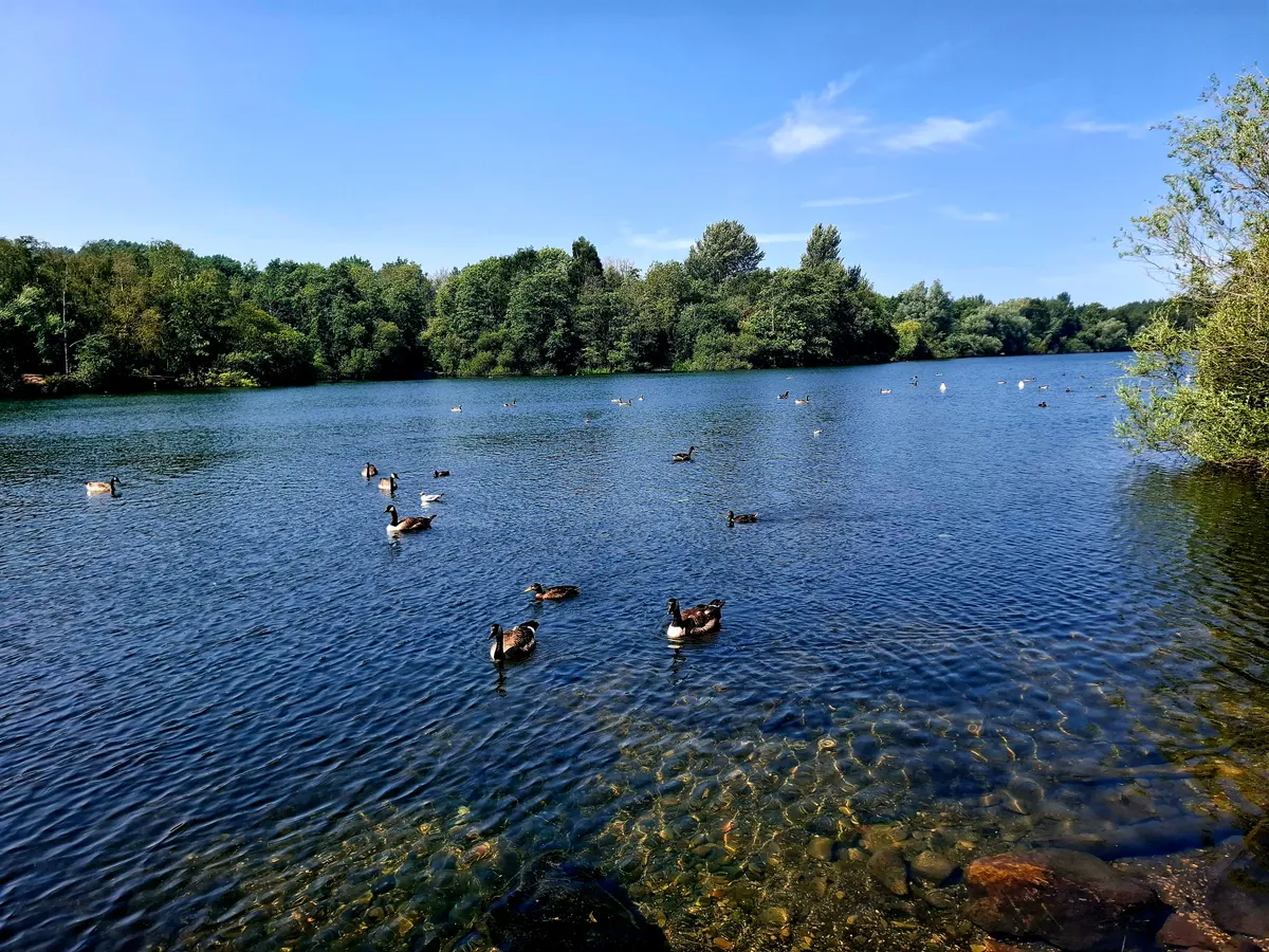 Main view at Chorlton Water Park Manchester — travel photo
