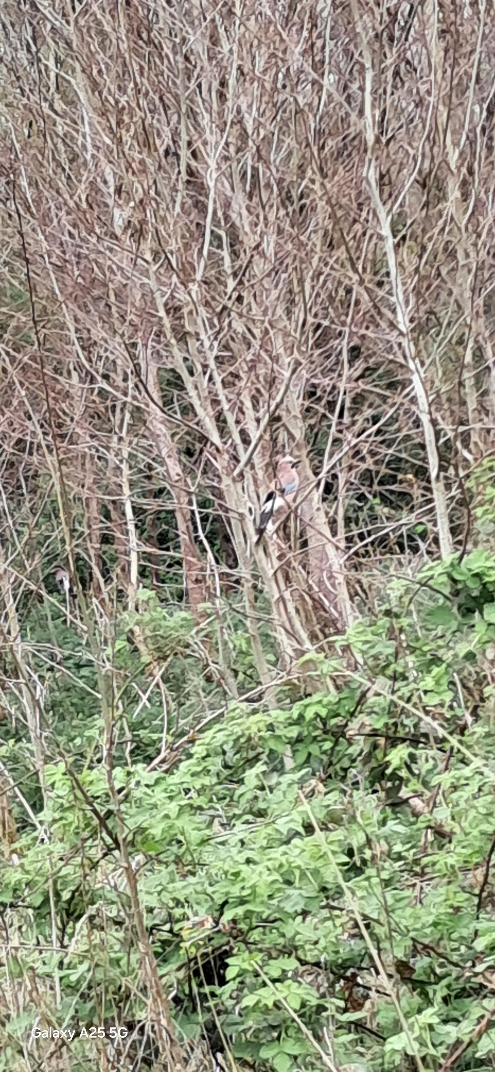 Atmosphere at Clayton Vale Manchester — travel photo