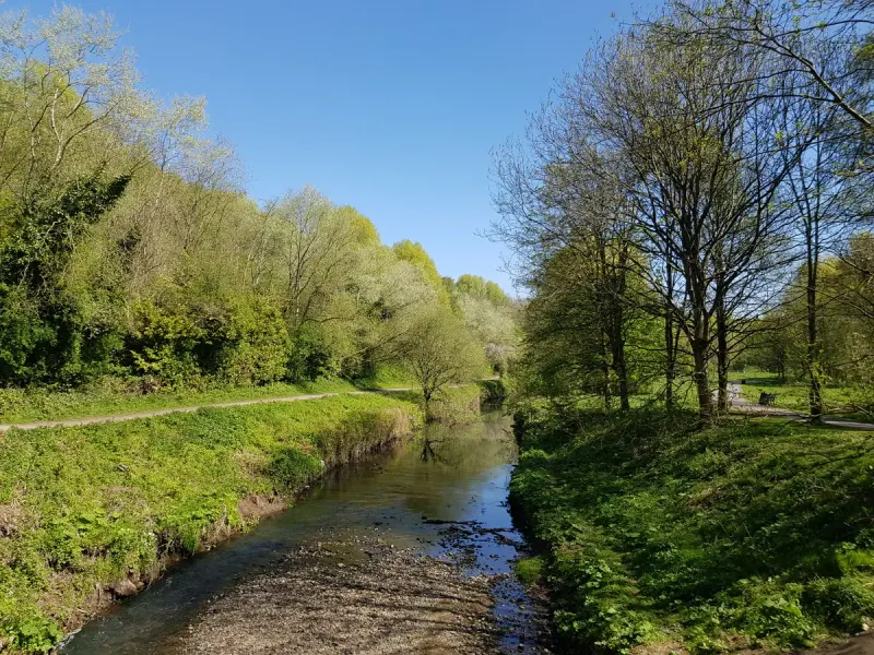 Clayton Vale