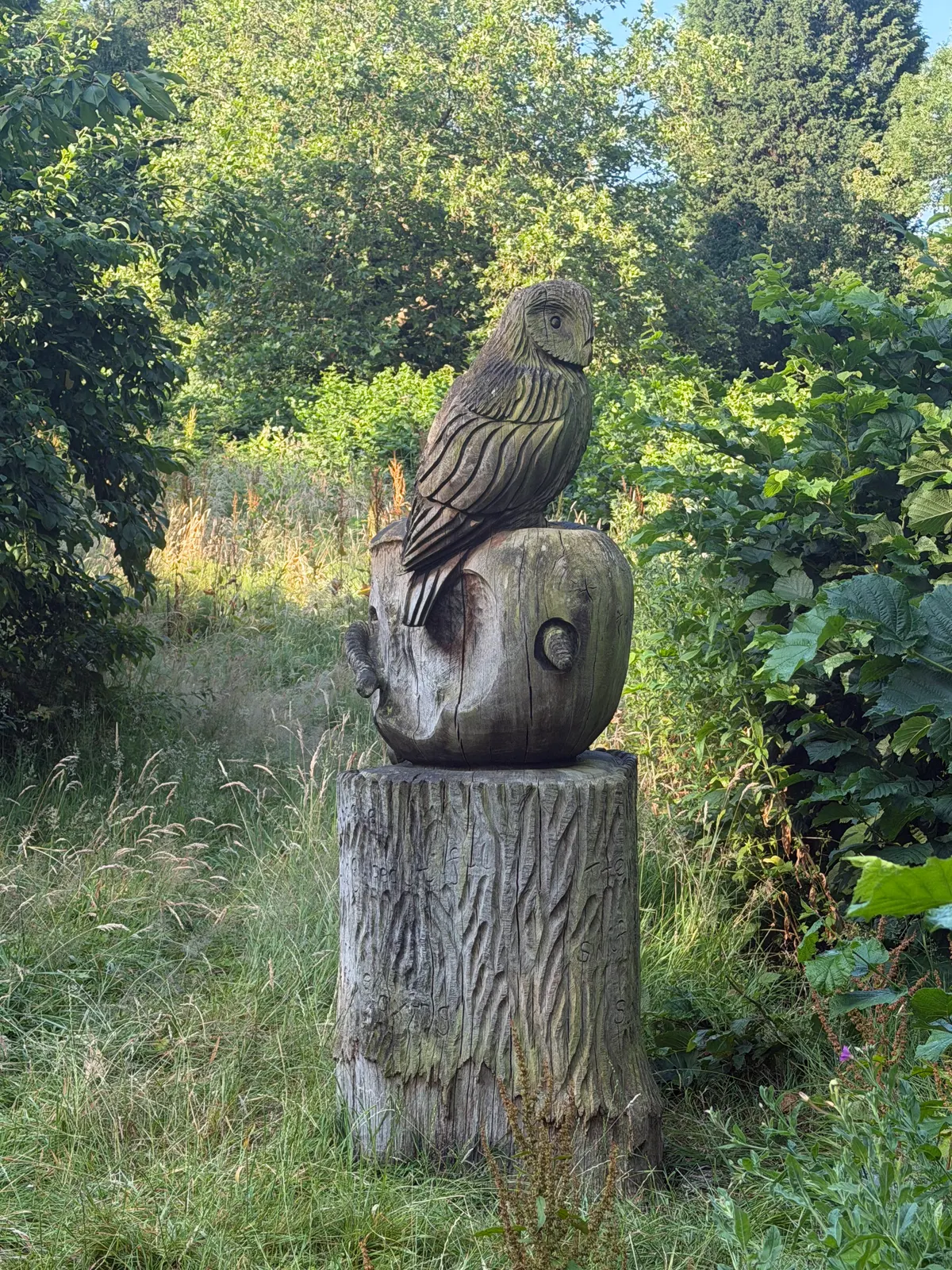 Main view at Debdale Park Manchester — travel photo