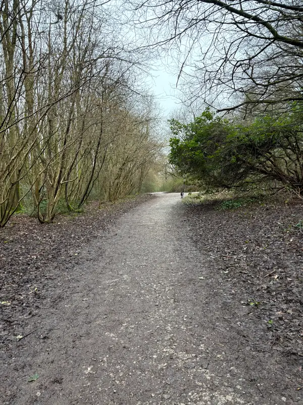 Atmosphere at Drinkwater Park Manchester — travel photo