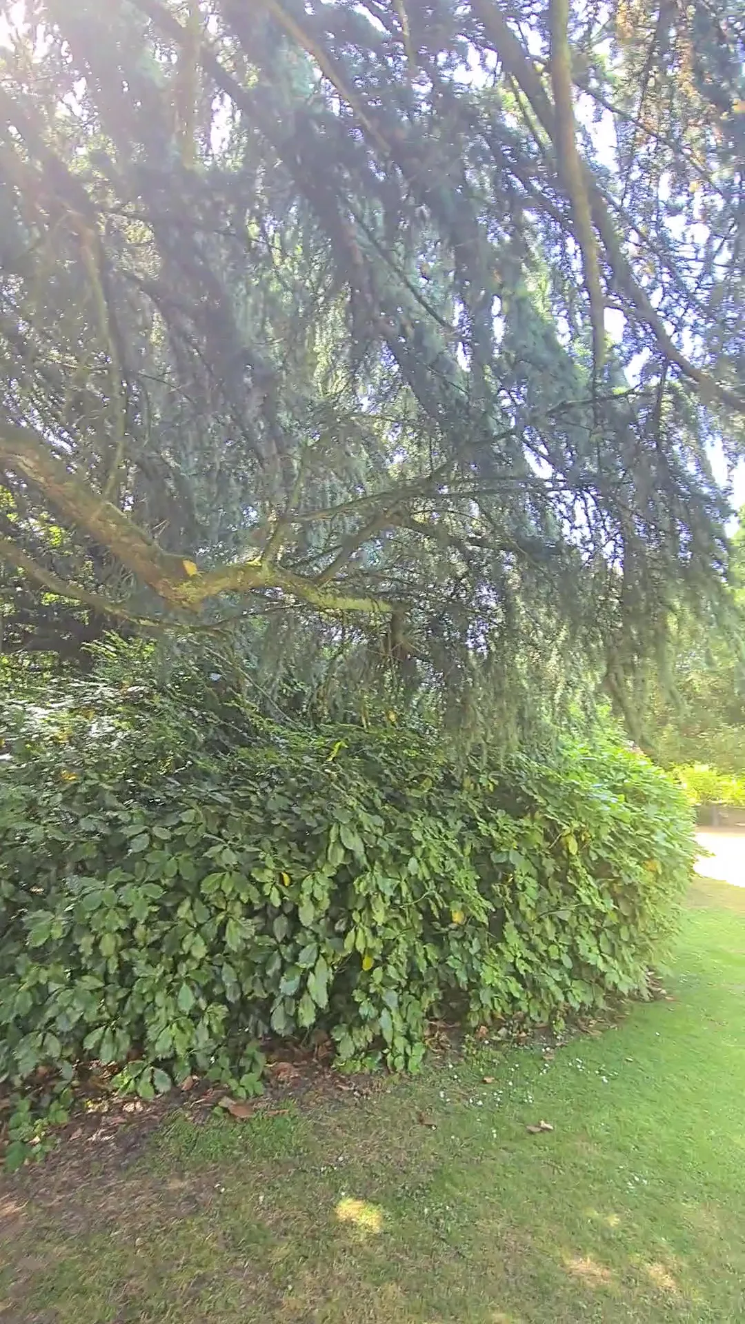 Atmosphere at Fletcher Moss Botanical Gardens Manchester — travel photo